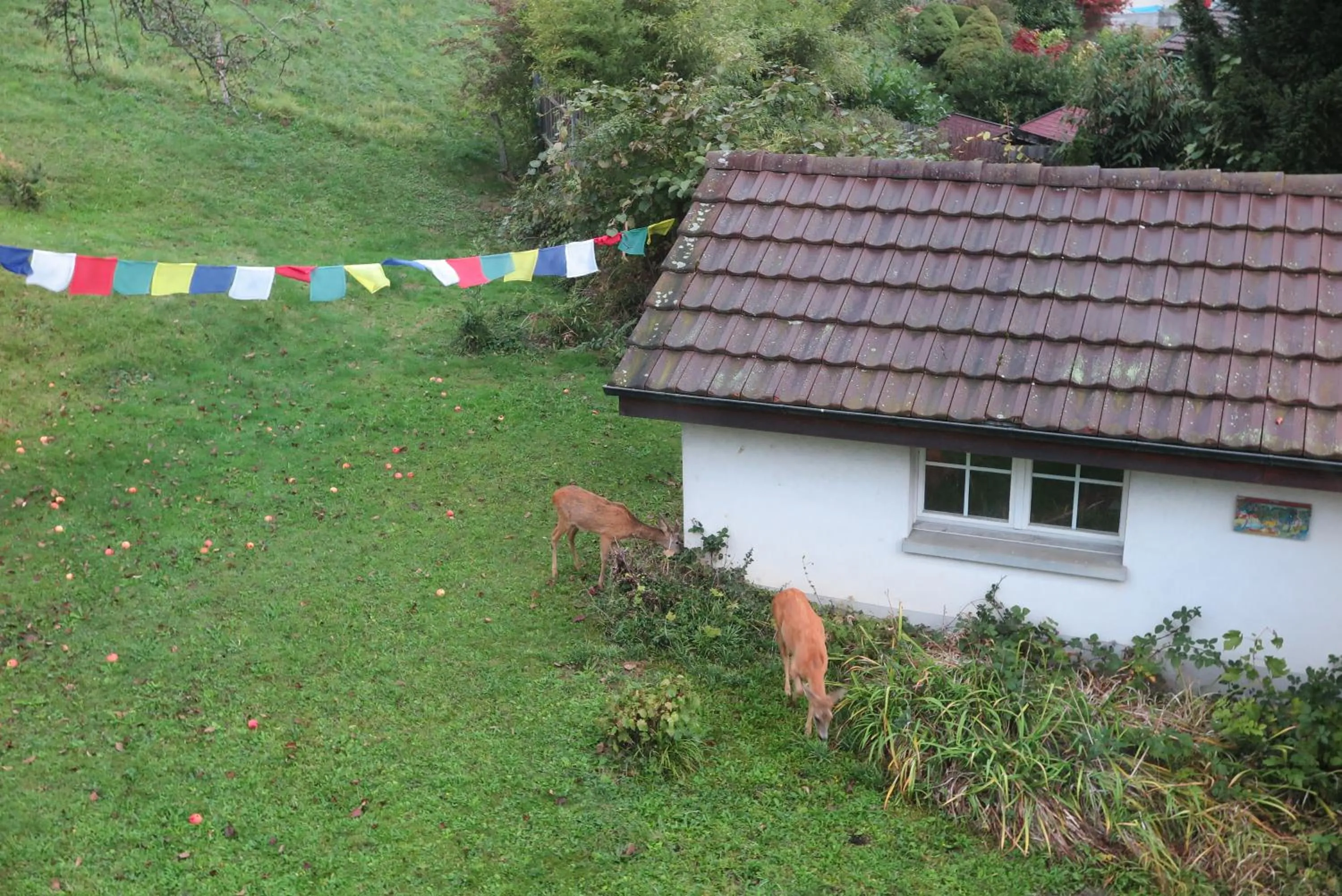 Garden in B&B Sigrid Braun-Budde