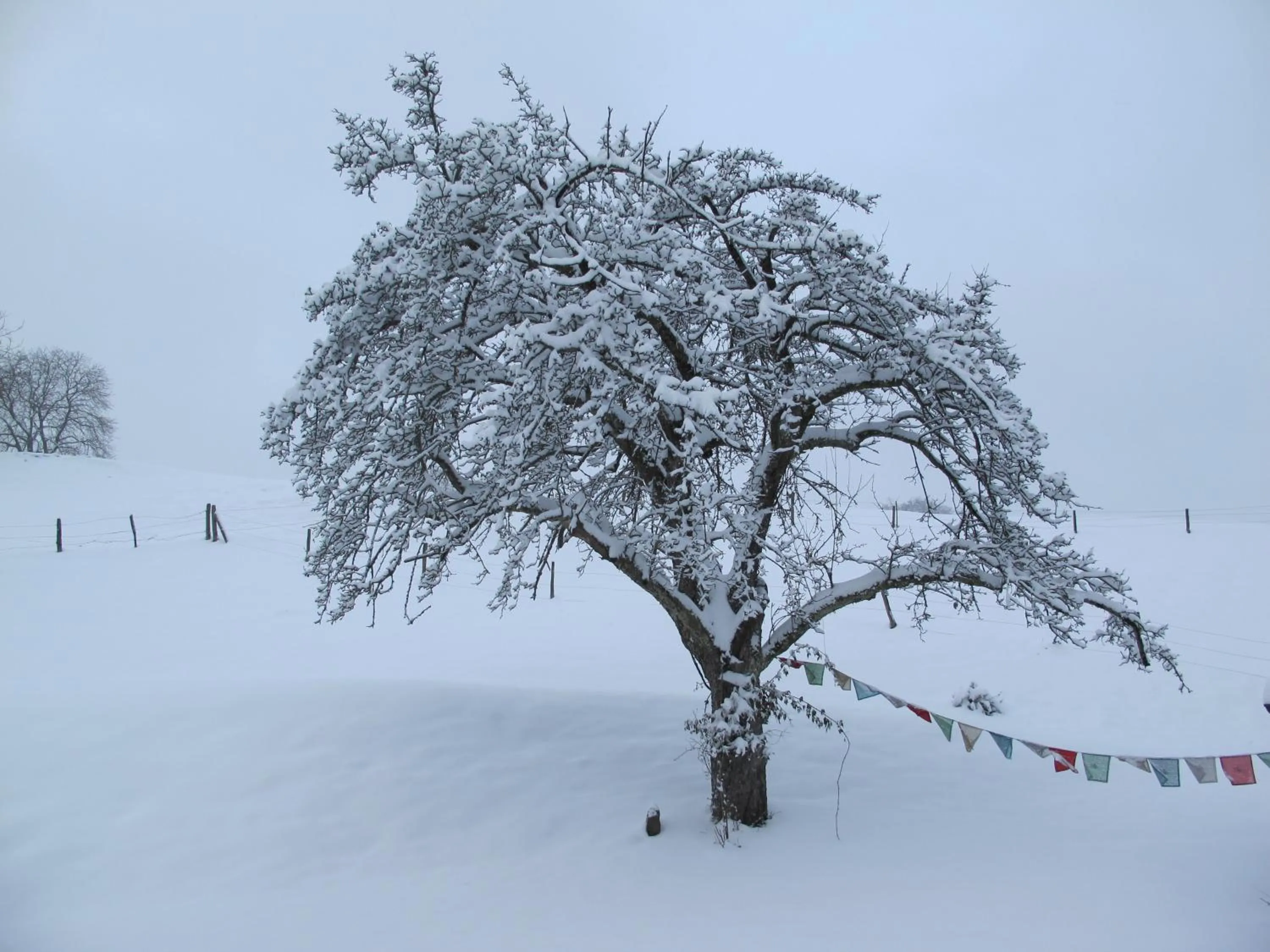 Winter in B&B Sigrid Braun-Budde