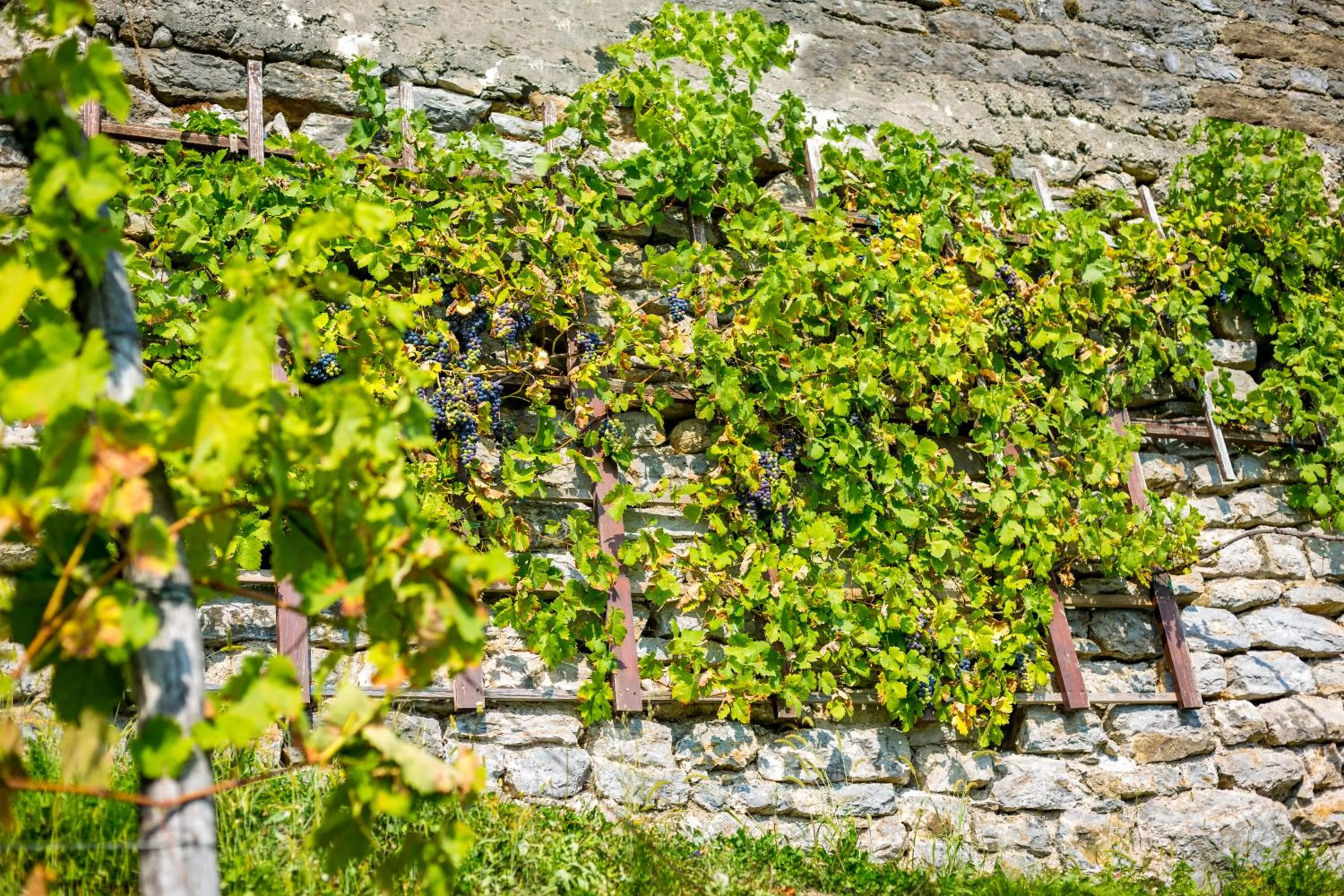 Day in Hotel Bellevue