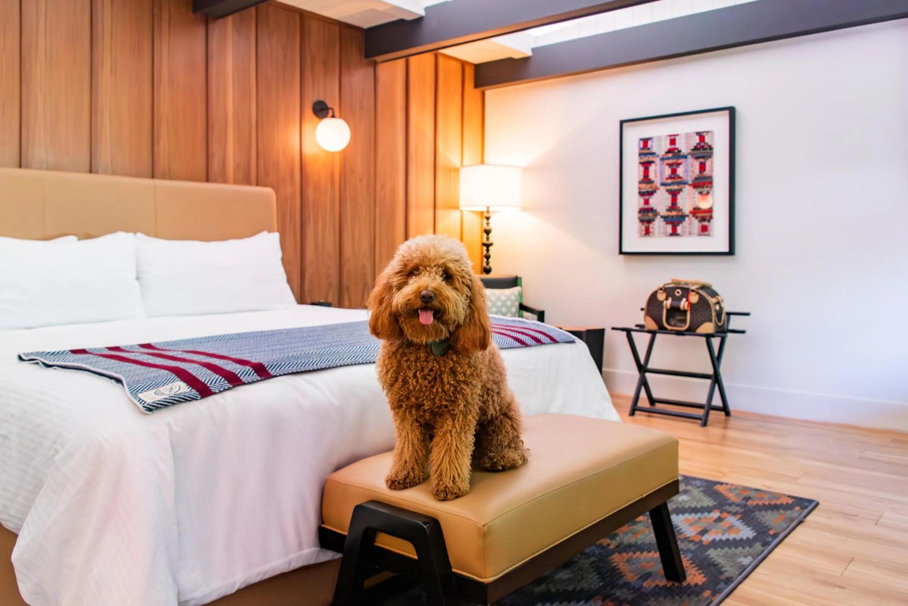 pet friendly, Bed in Historic Rocky Waters Inn, A Small Luxury Hotel
