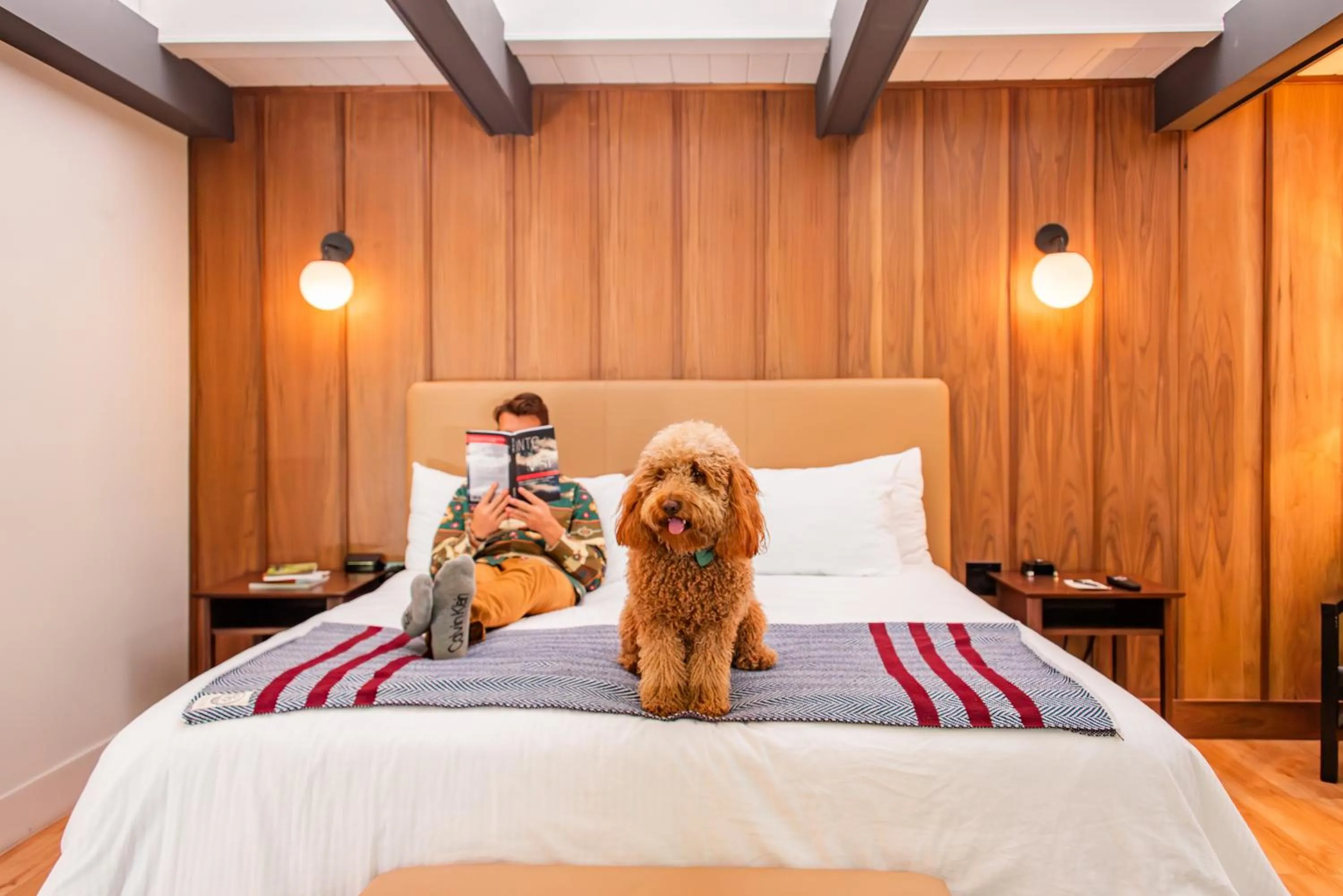 pet friendly, Bed in Historic Rocky Waters Inn, A Small Luxury Hotel