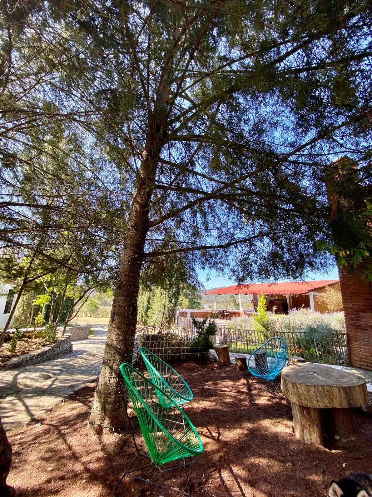 Hotel Boutique Calderon