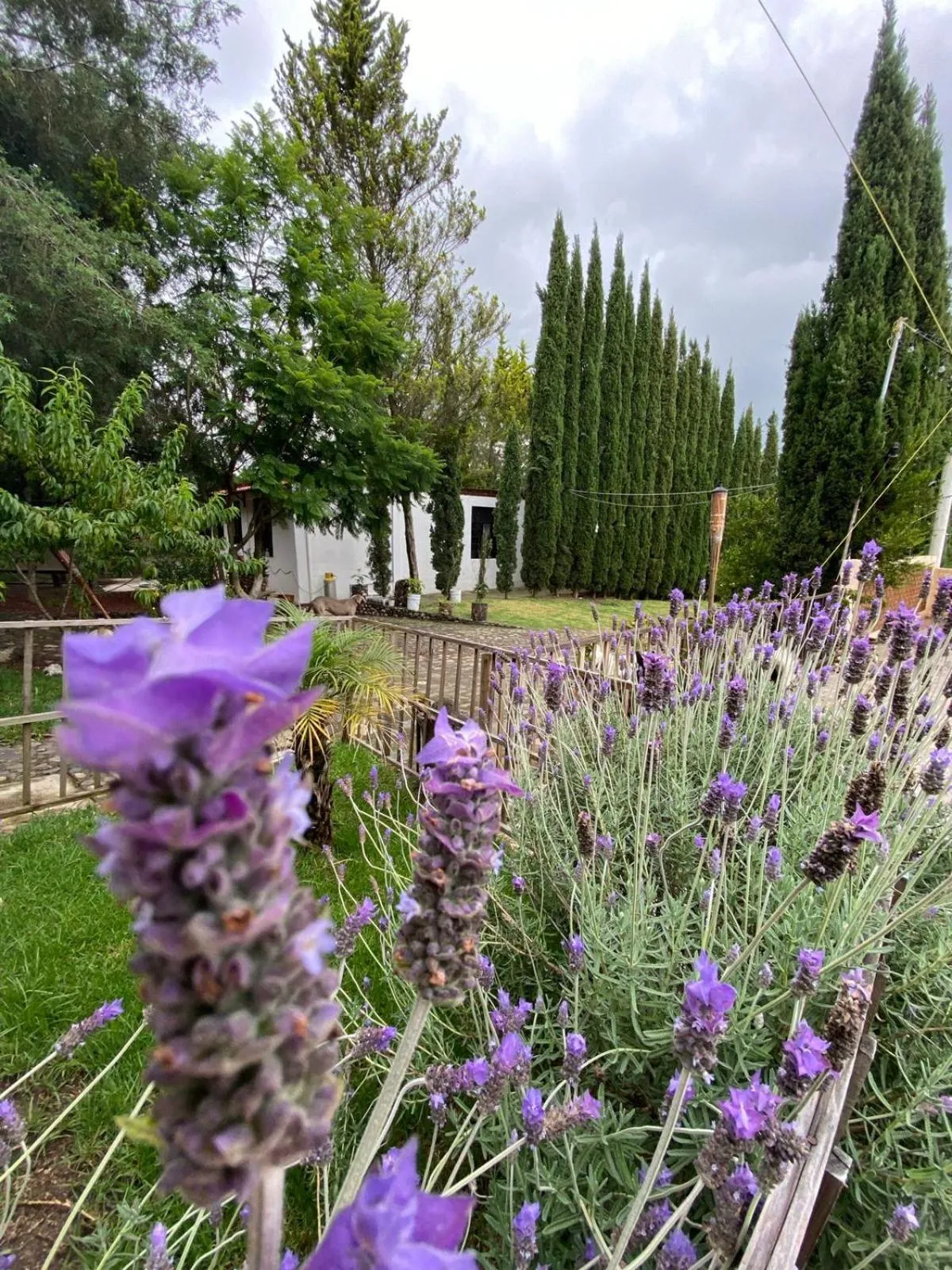 Hotel Boutique Calderon