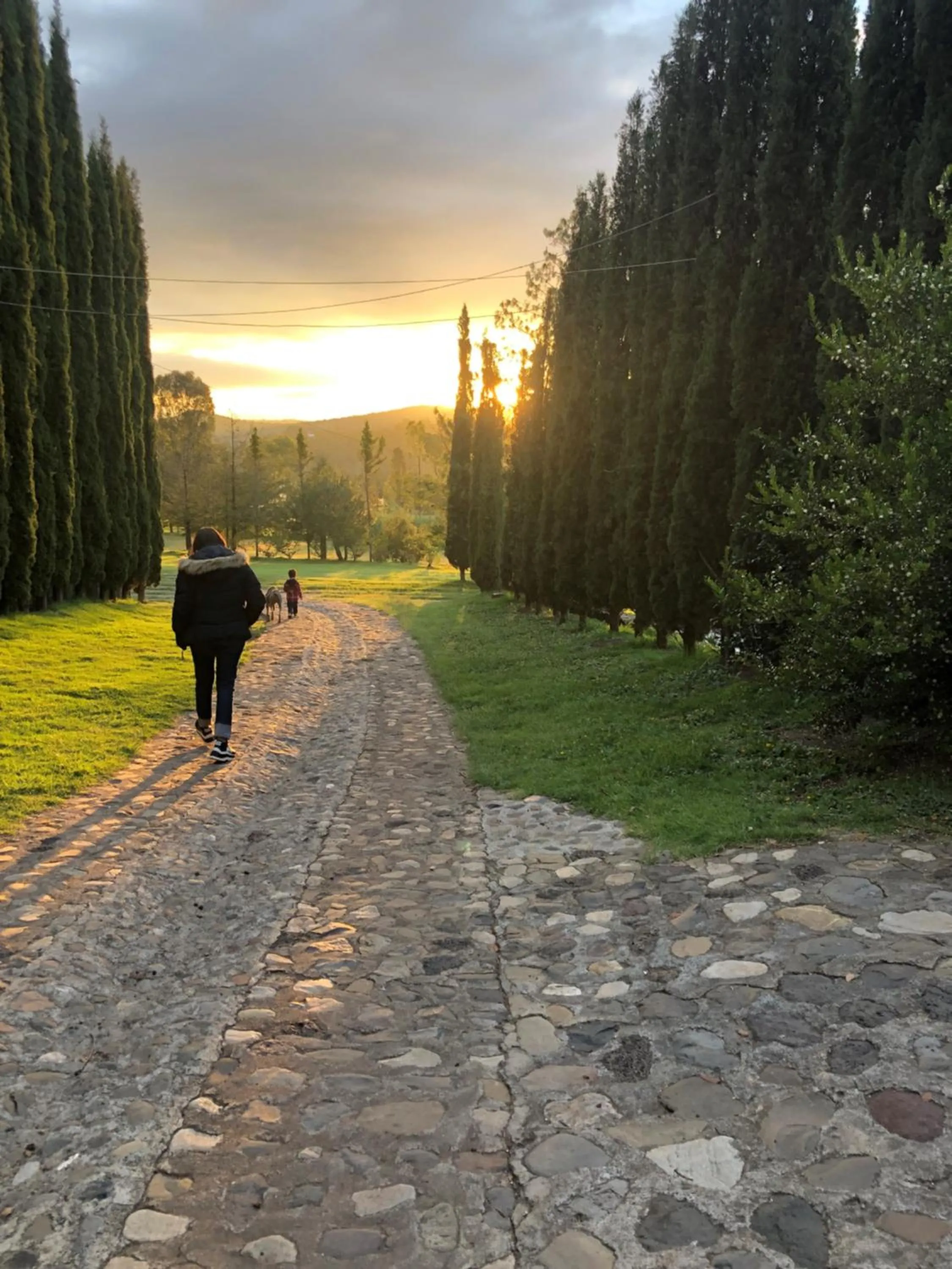 Garden in Hotel Boutique Calderon