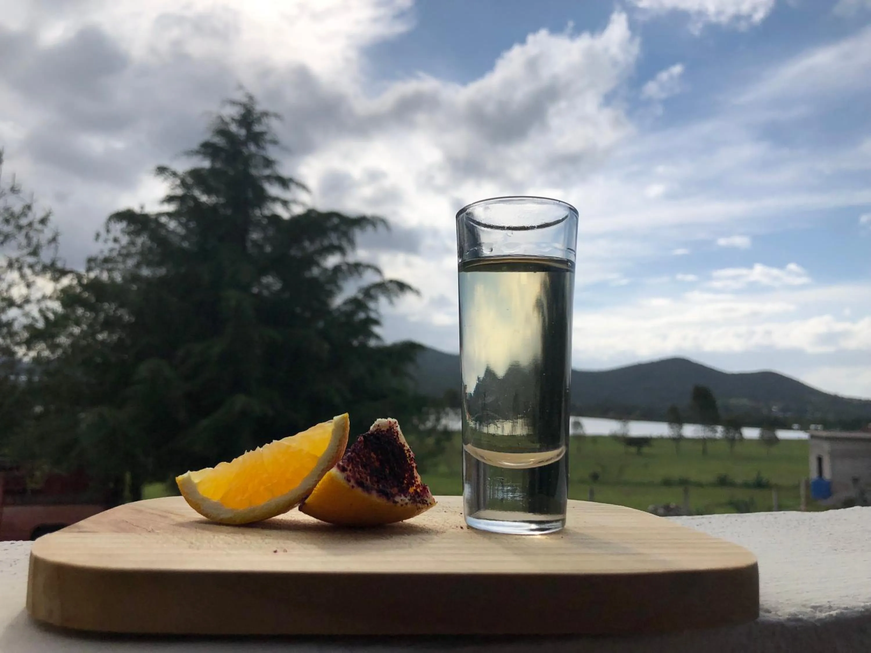 Food and drinks in Hotel Boutique Calderon