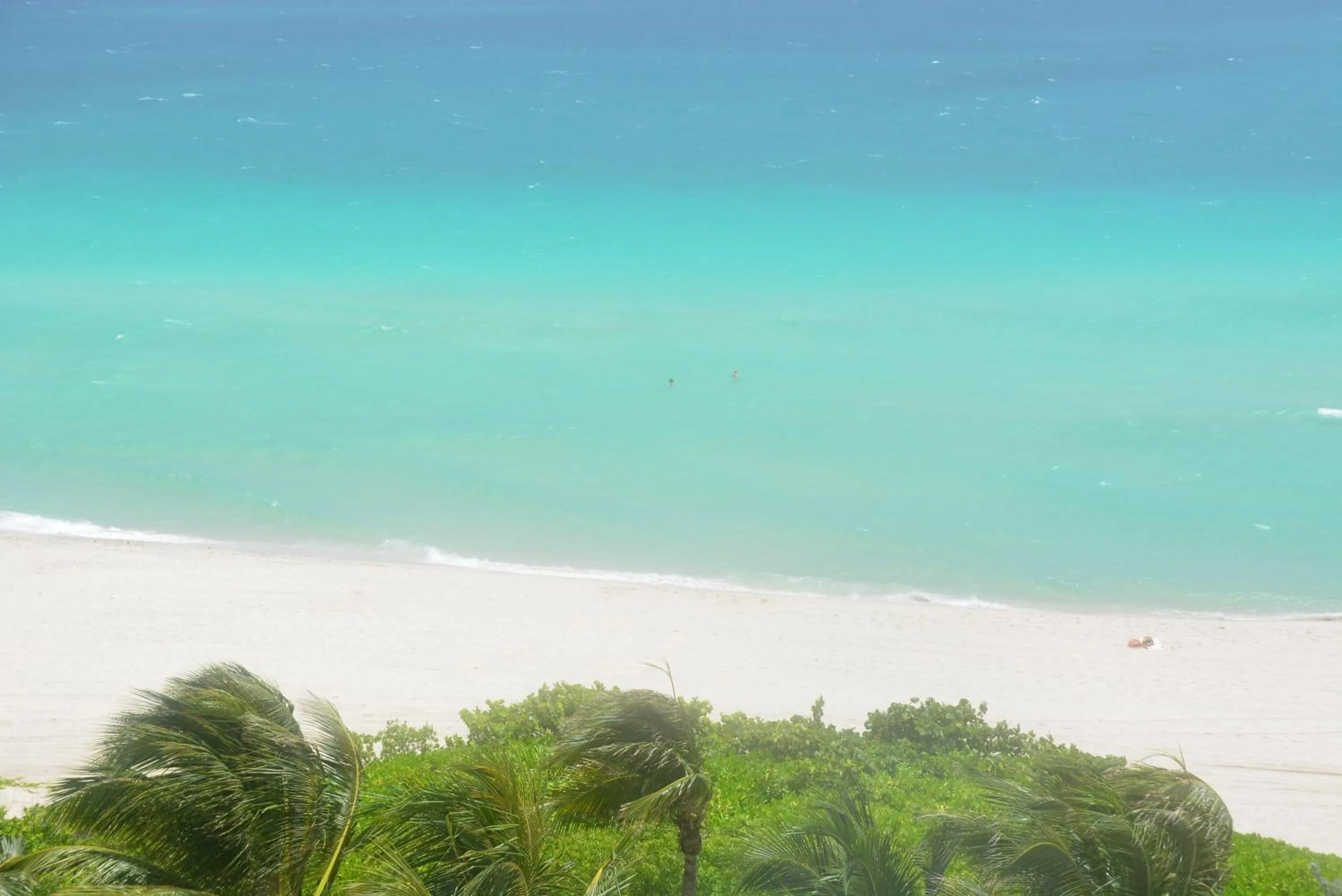 Natural landscape in New Point Miami Beach Apartments