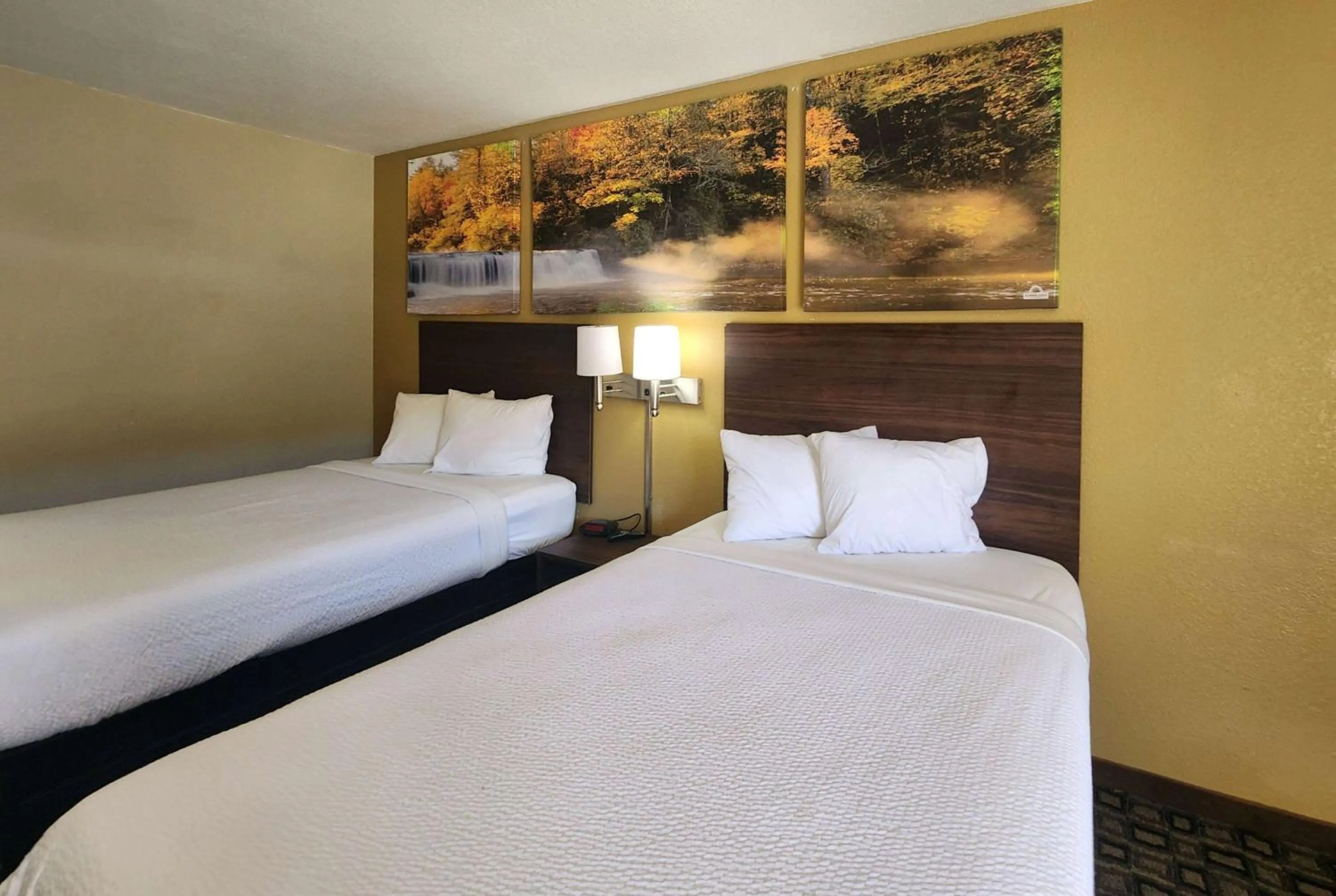 Photo of the whole room, Bed in Days Inn by Wyndham Leesville