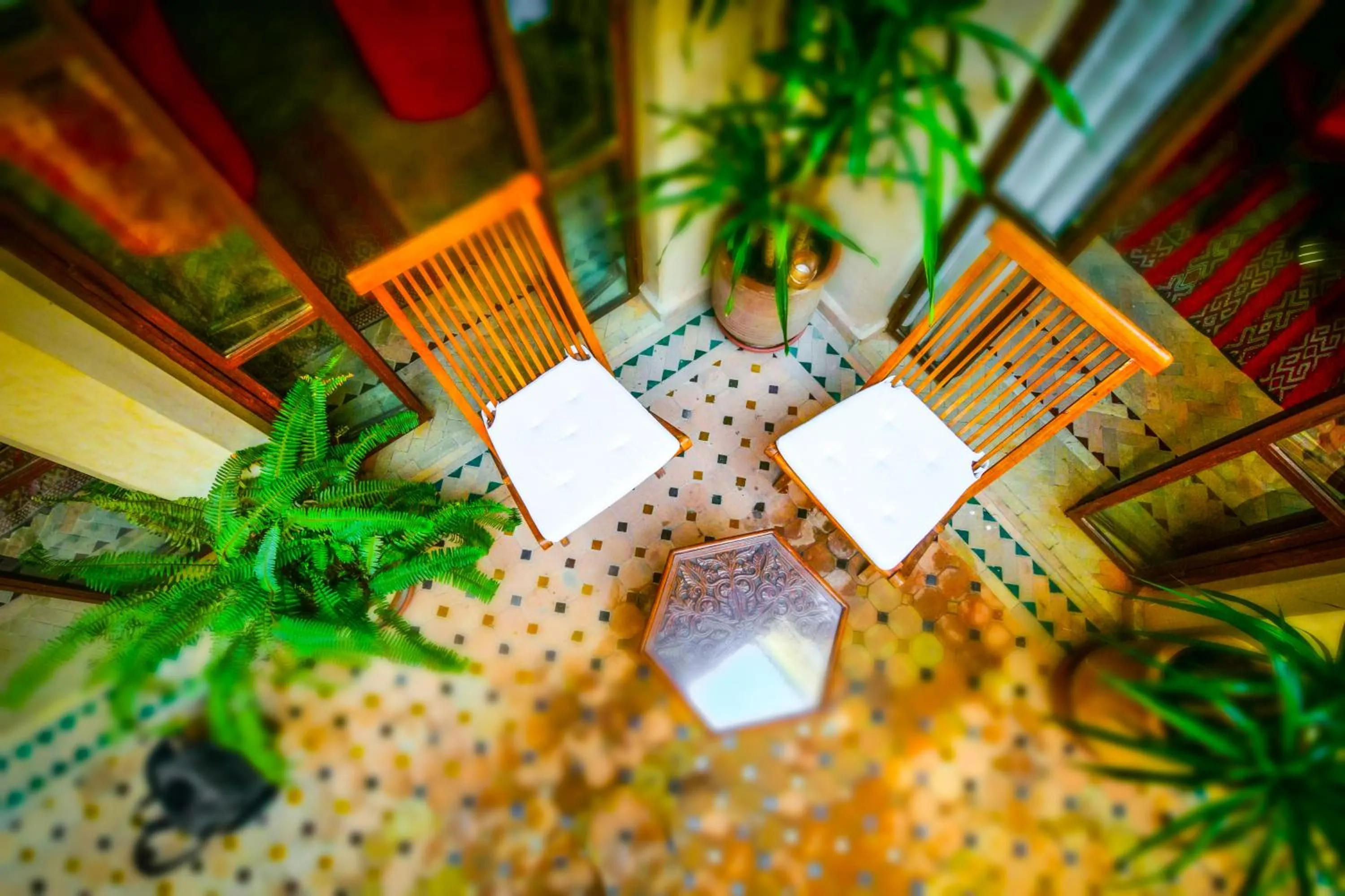 Solarium in Riad Belle Epoque