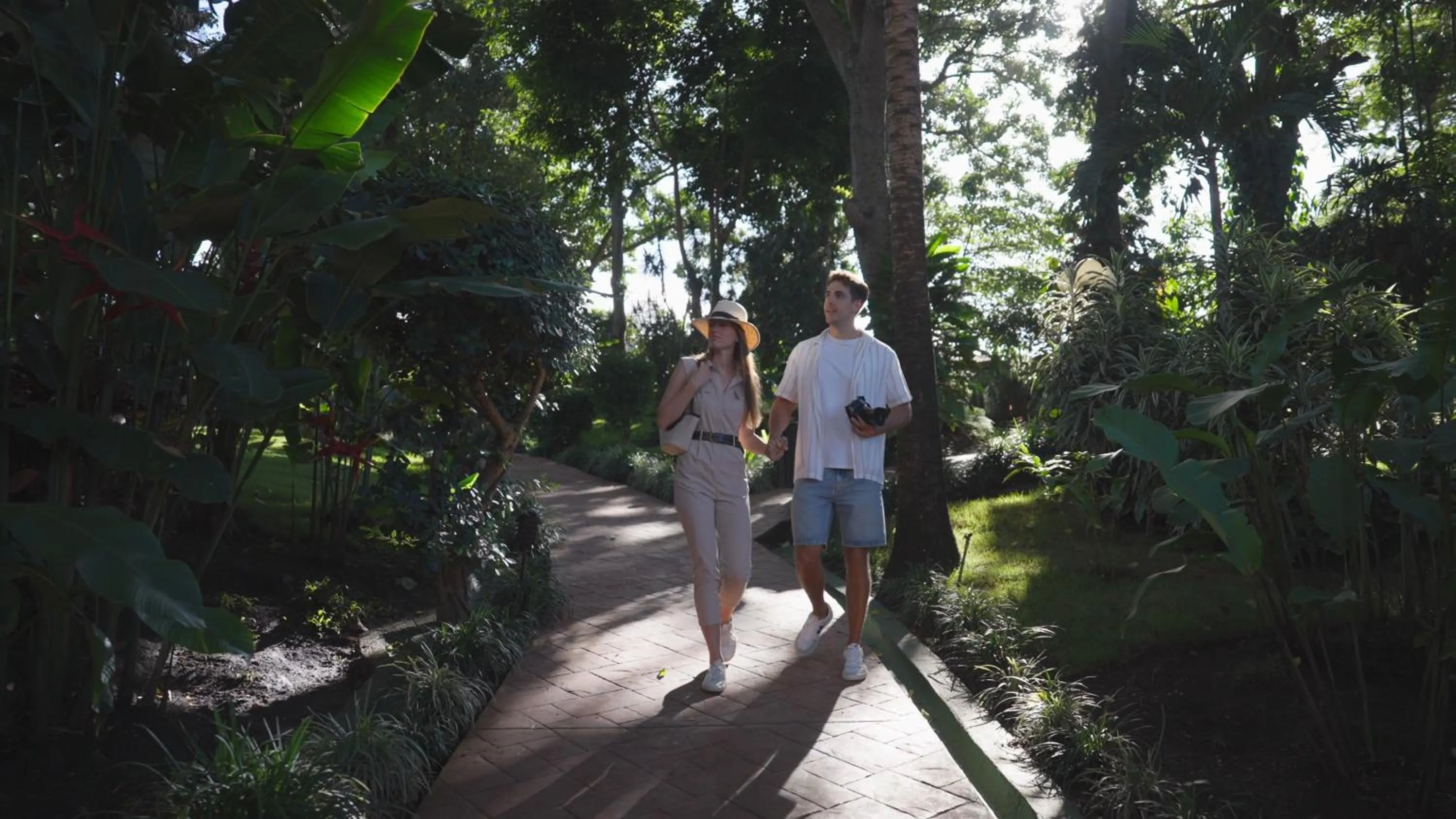 Garden in Barceló San José