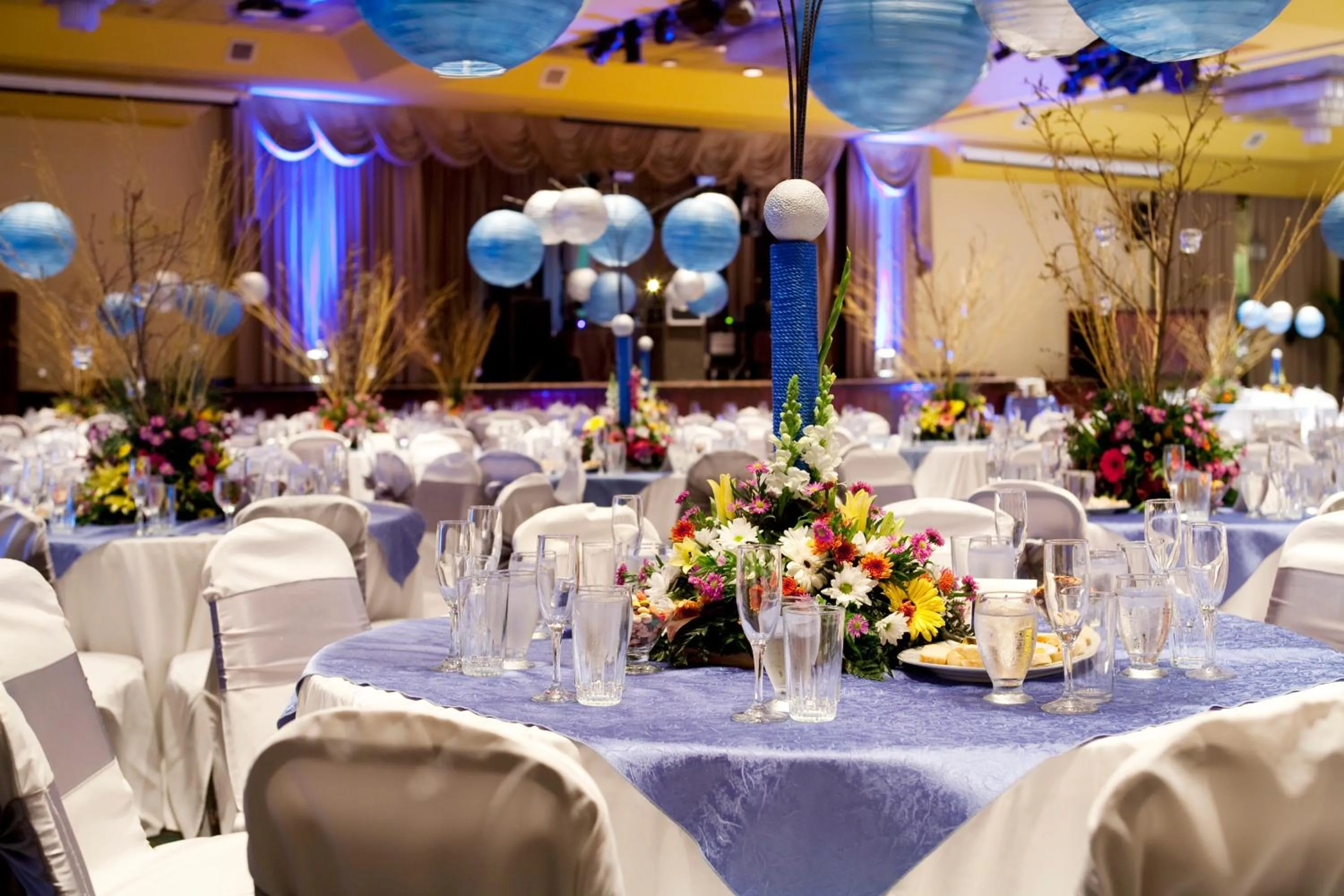 Business facilities in Barceló San José