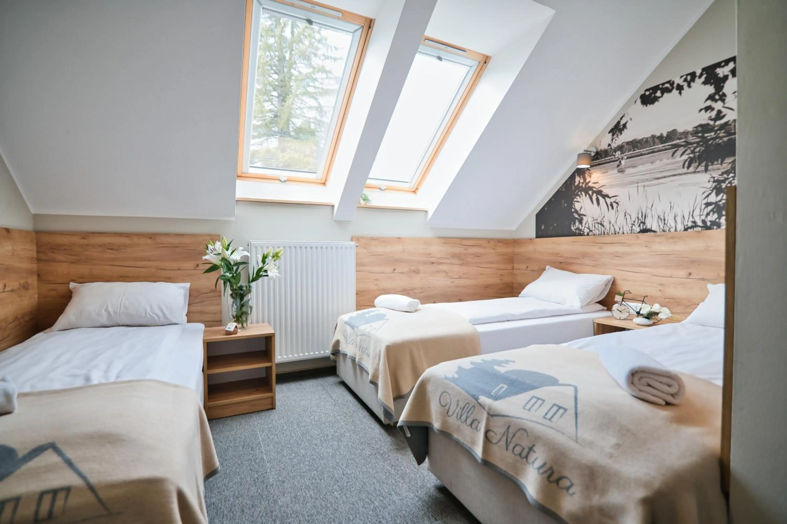 Villa Natura Zator Przeciszów