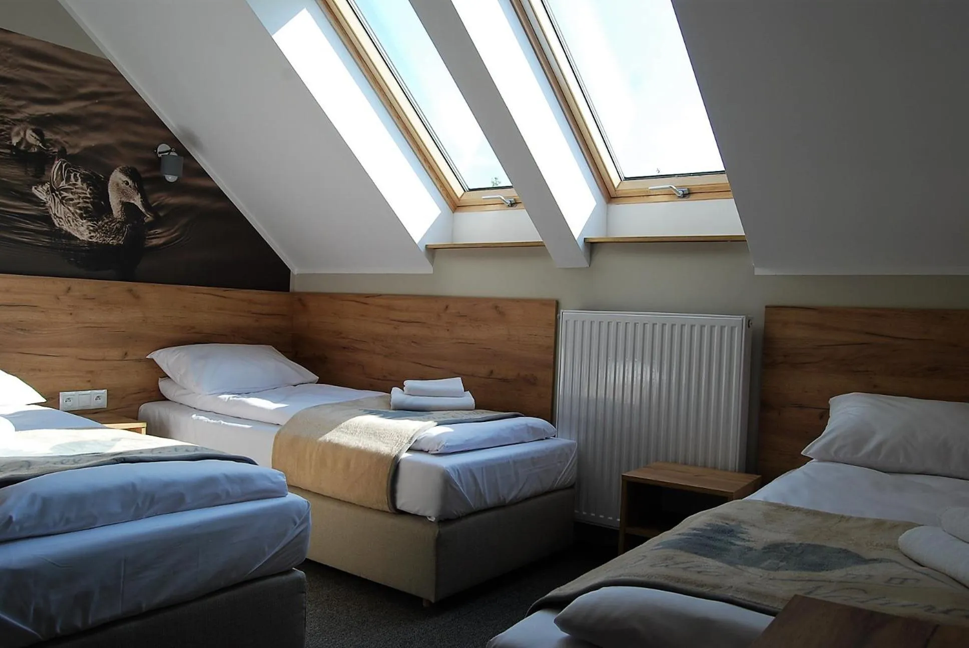 Villa Natura Zator Przeciszów