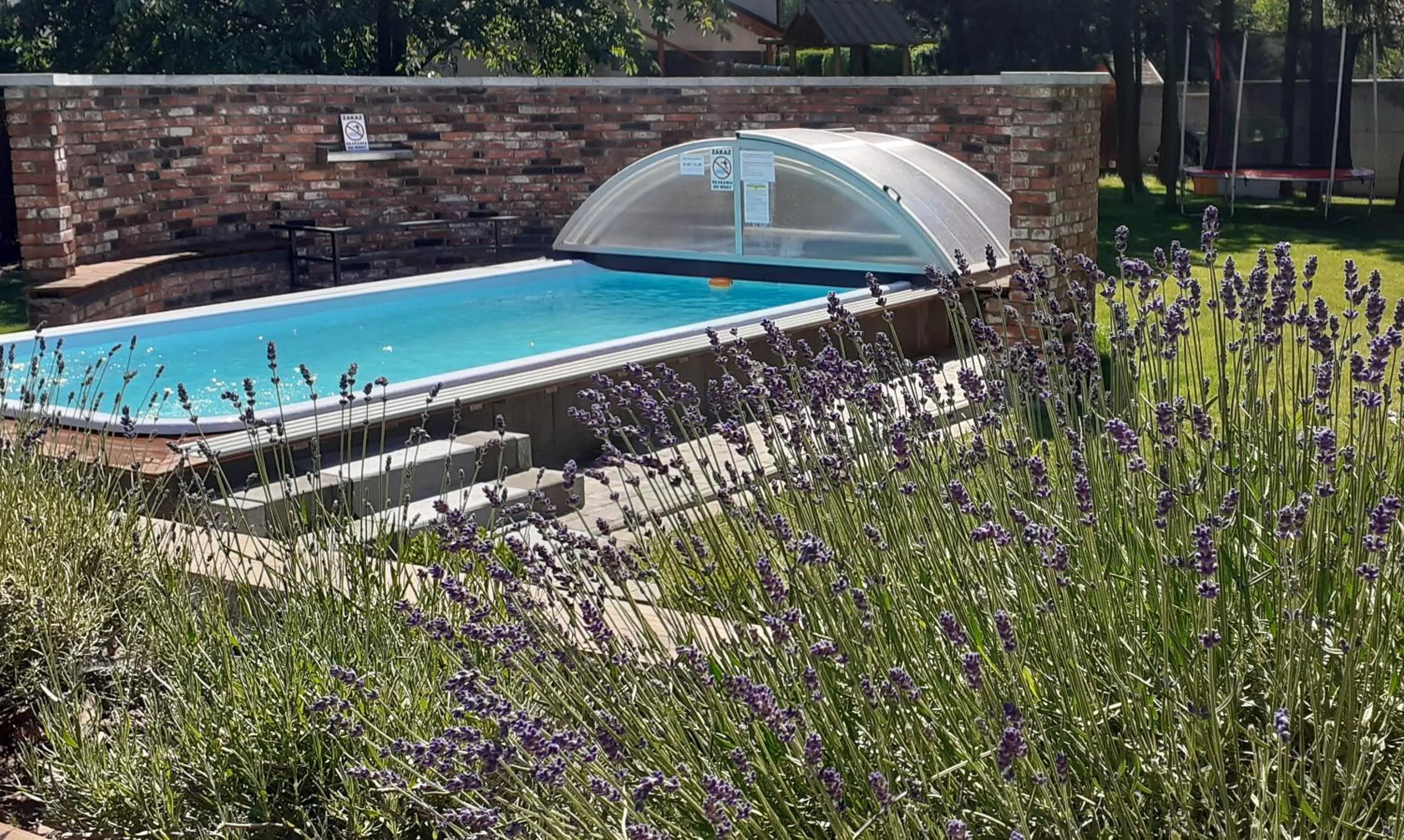 Swimming pool in Villa Natura Zator Przeciszów
