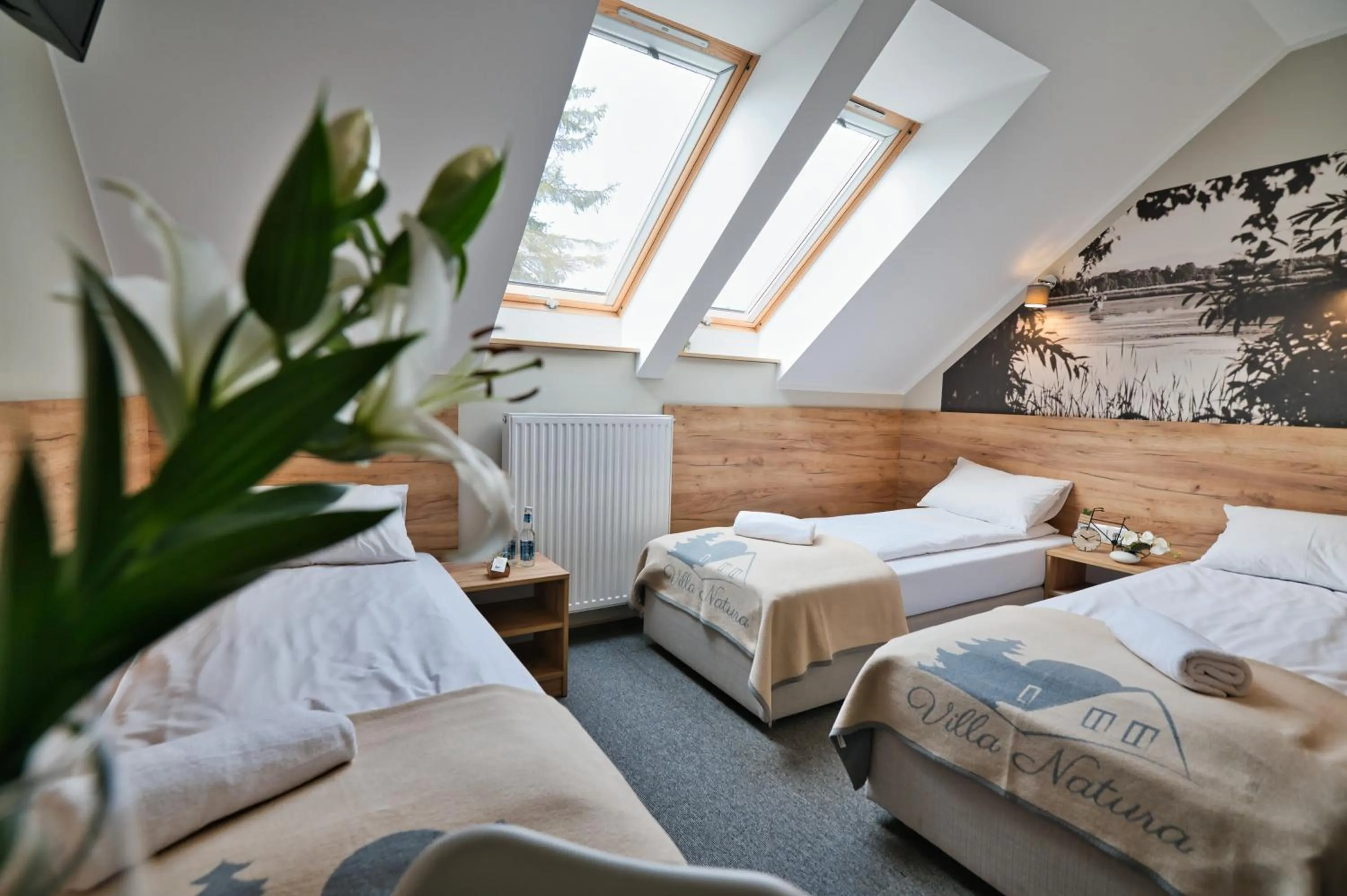 Villa Natura Zator Przeciszów