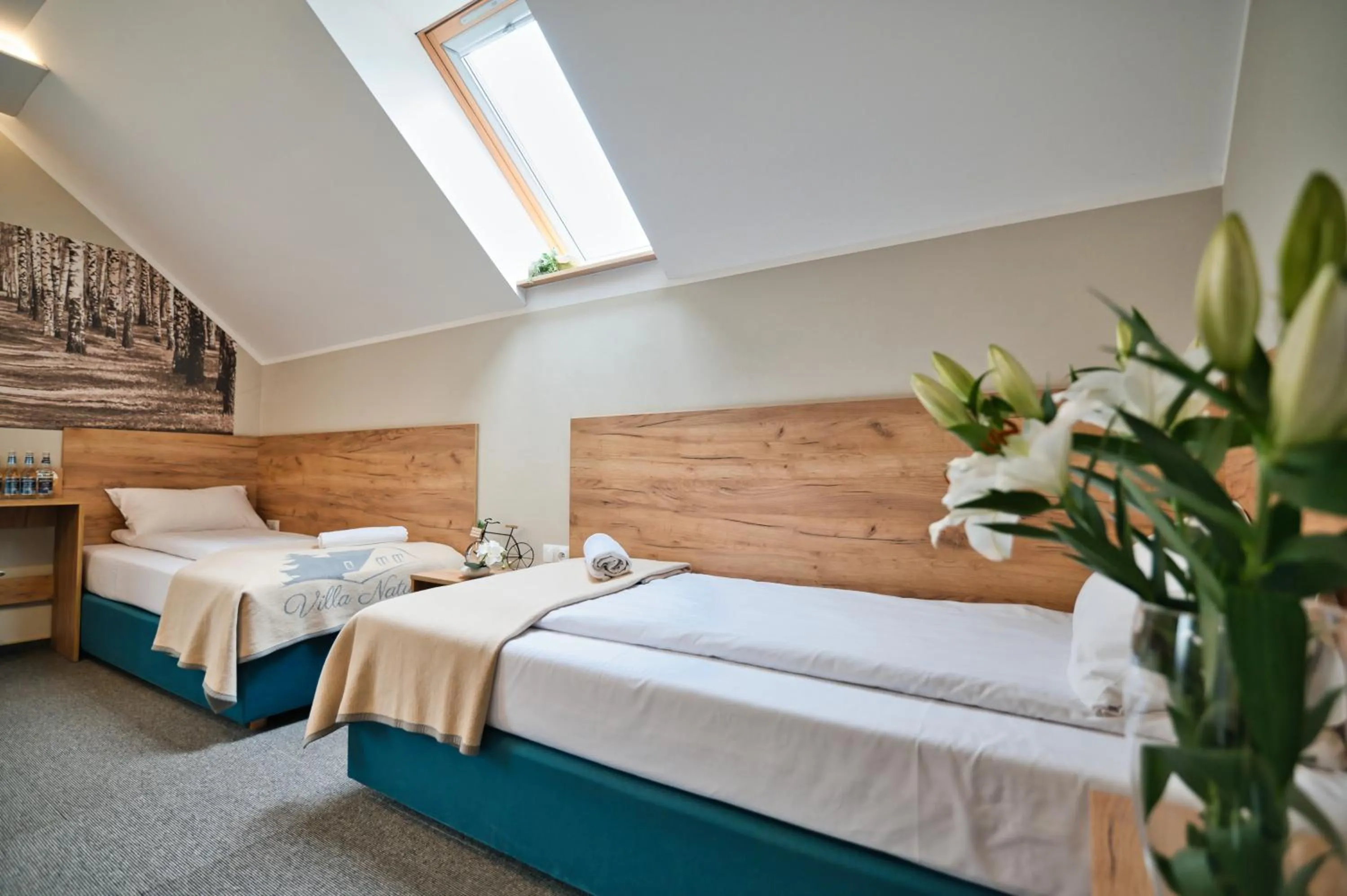 Villa Natura Zator Przeciszów