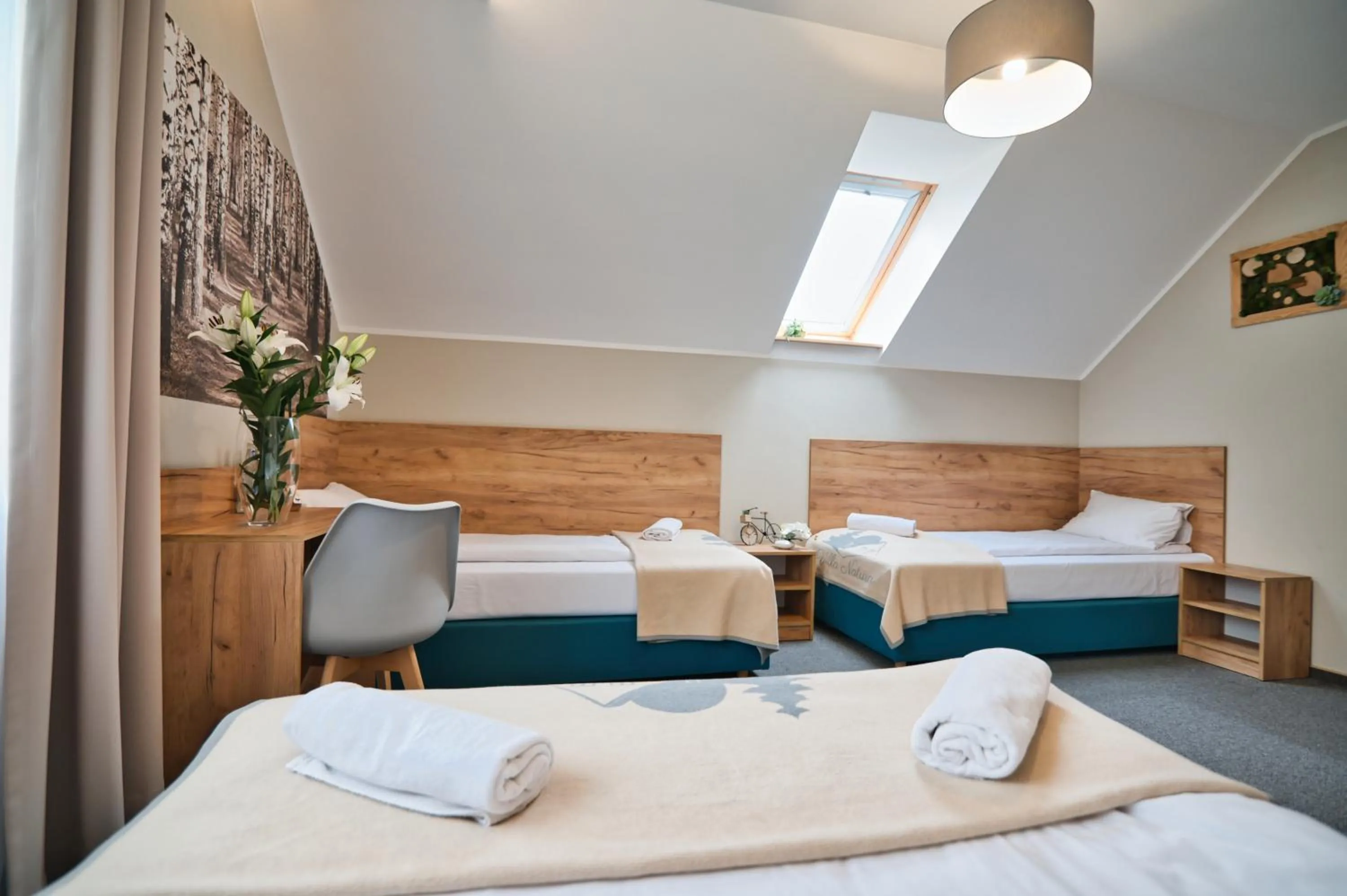 Villa Natura Zator Przeciszów