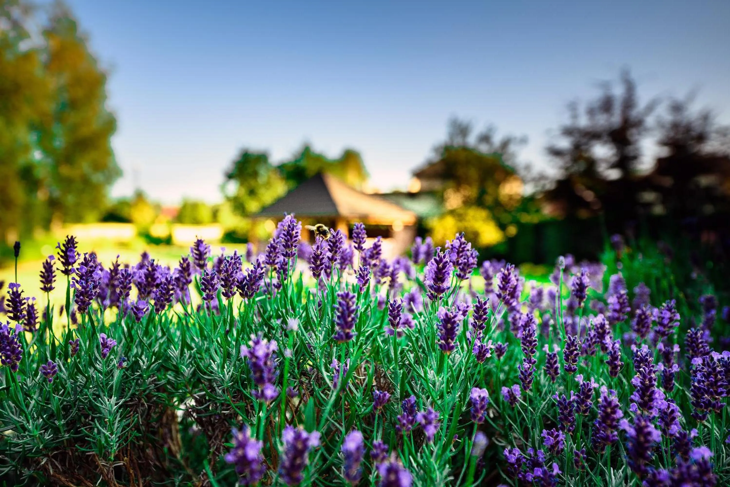 Villa Natura Zator Przeciszów