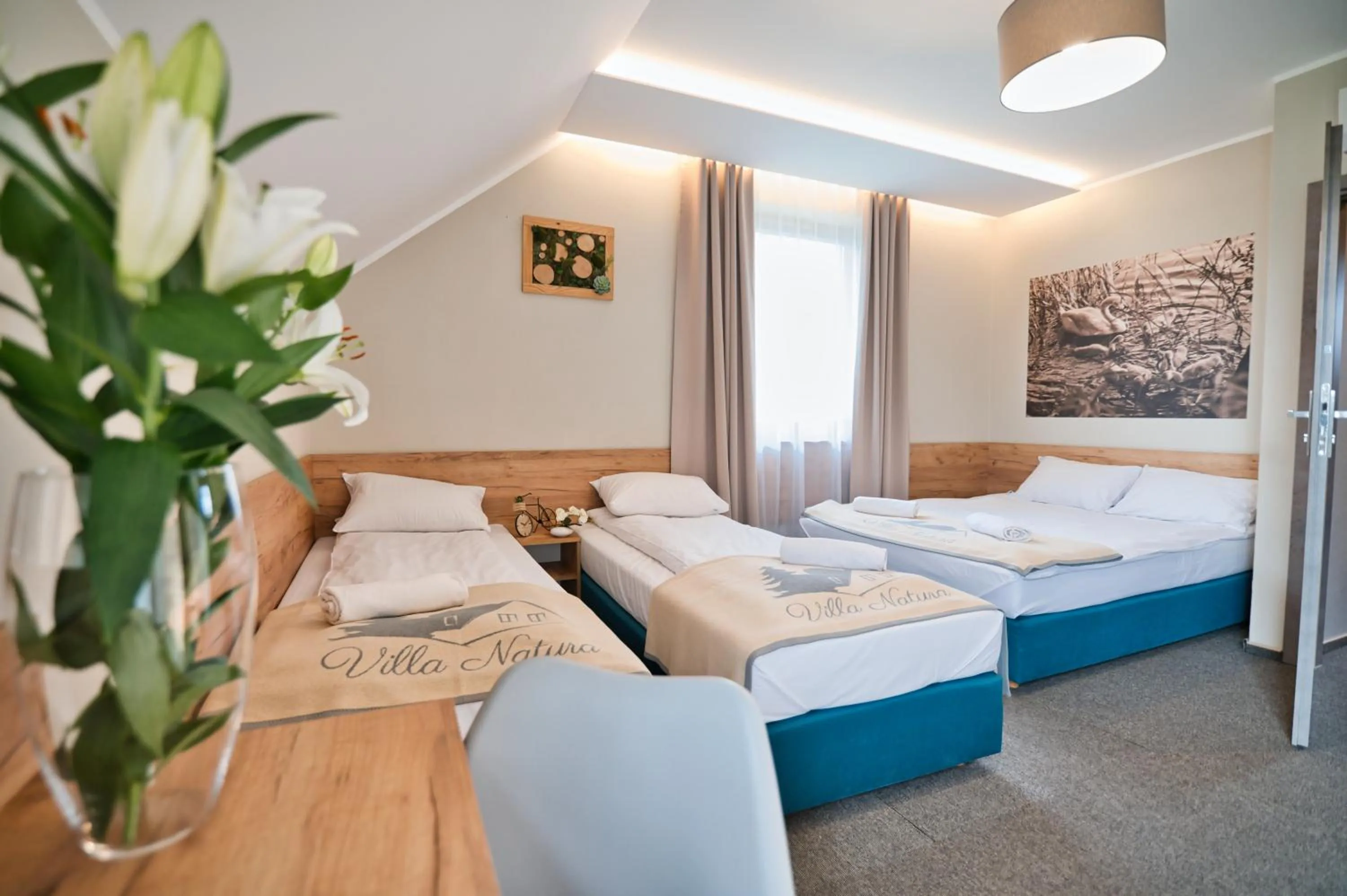 Villa Natura Zator Przeciszów