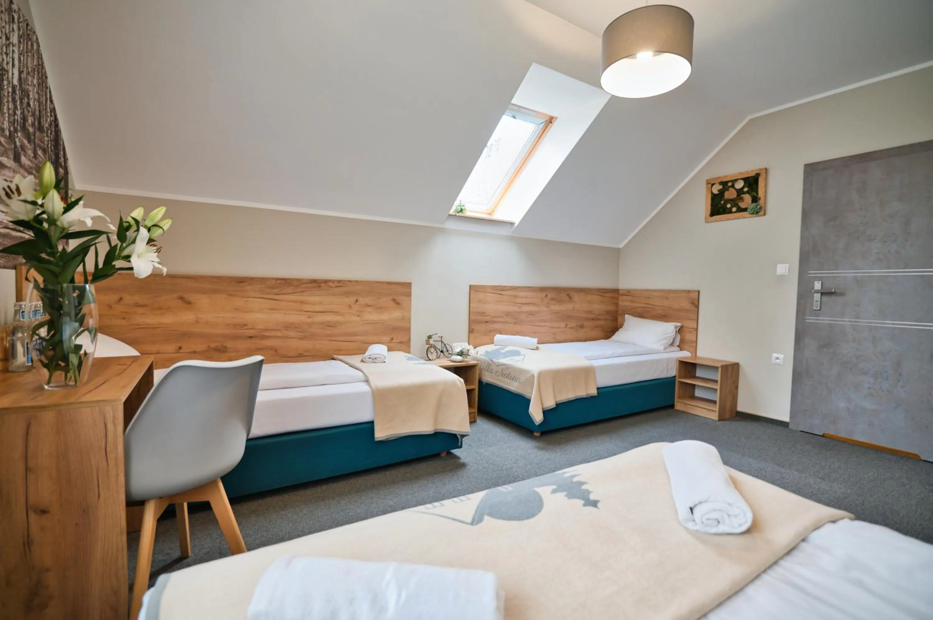 Villa Natura Zator Przeciszów