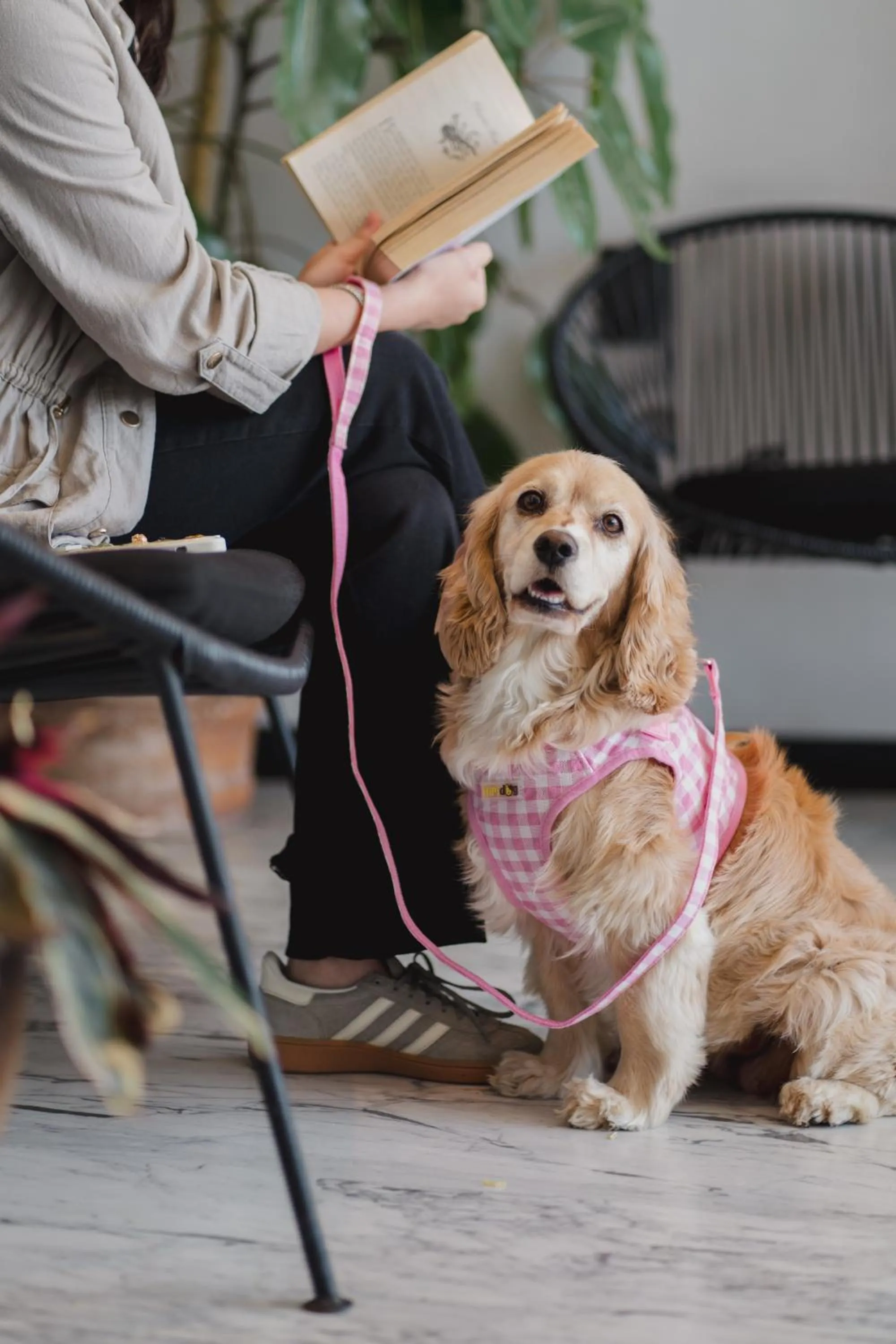 Property building in Casa Basalto