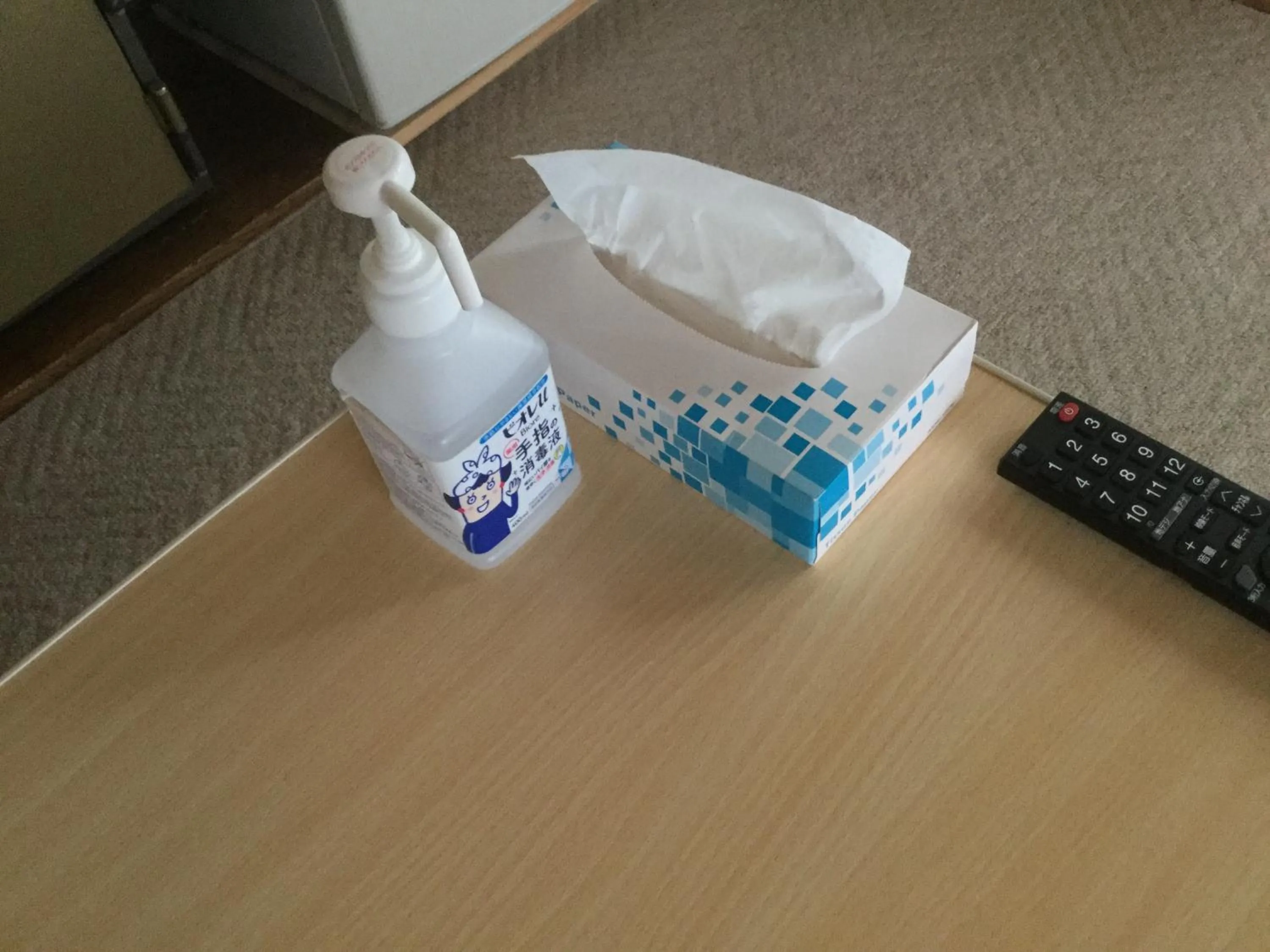 Photo of the whole room in Hakuba Ski-Kan