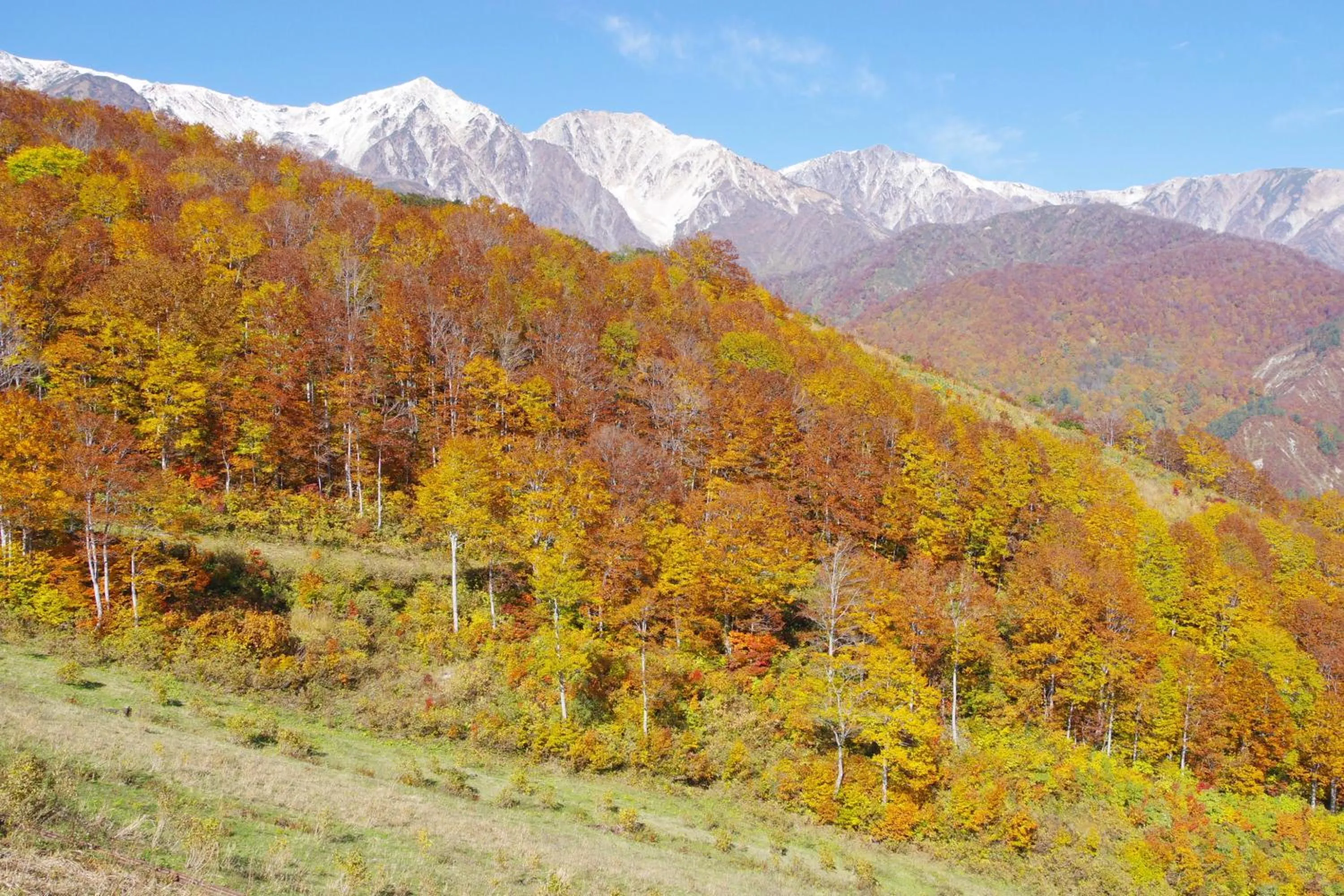Natural landscape in Hakuba Ski-Kan