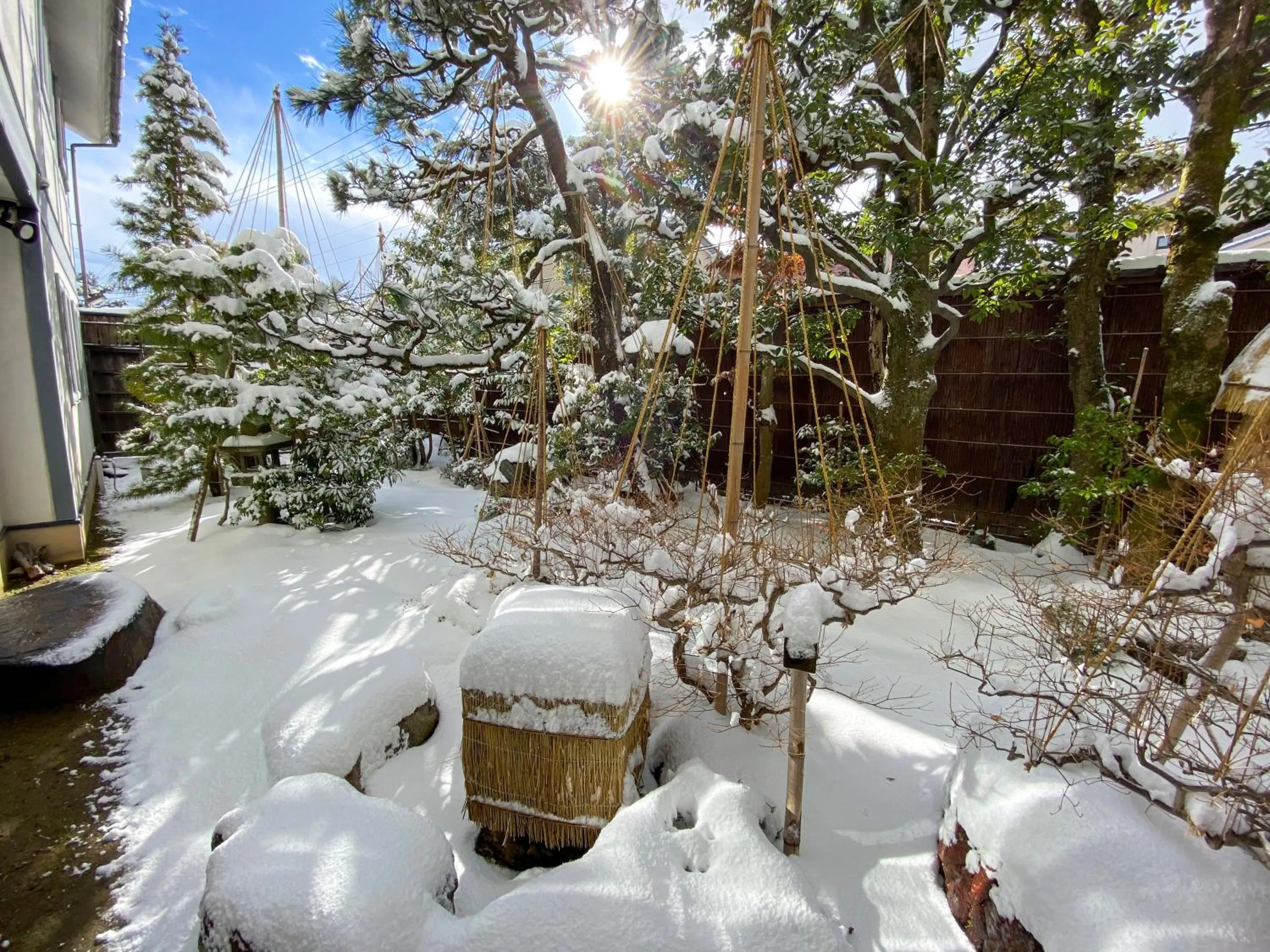 Winter in Camellia Inn Yukitsubaki