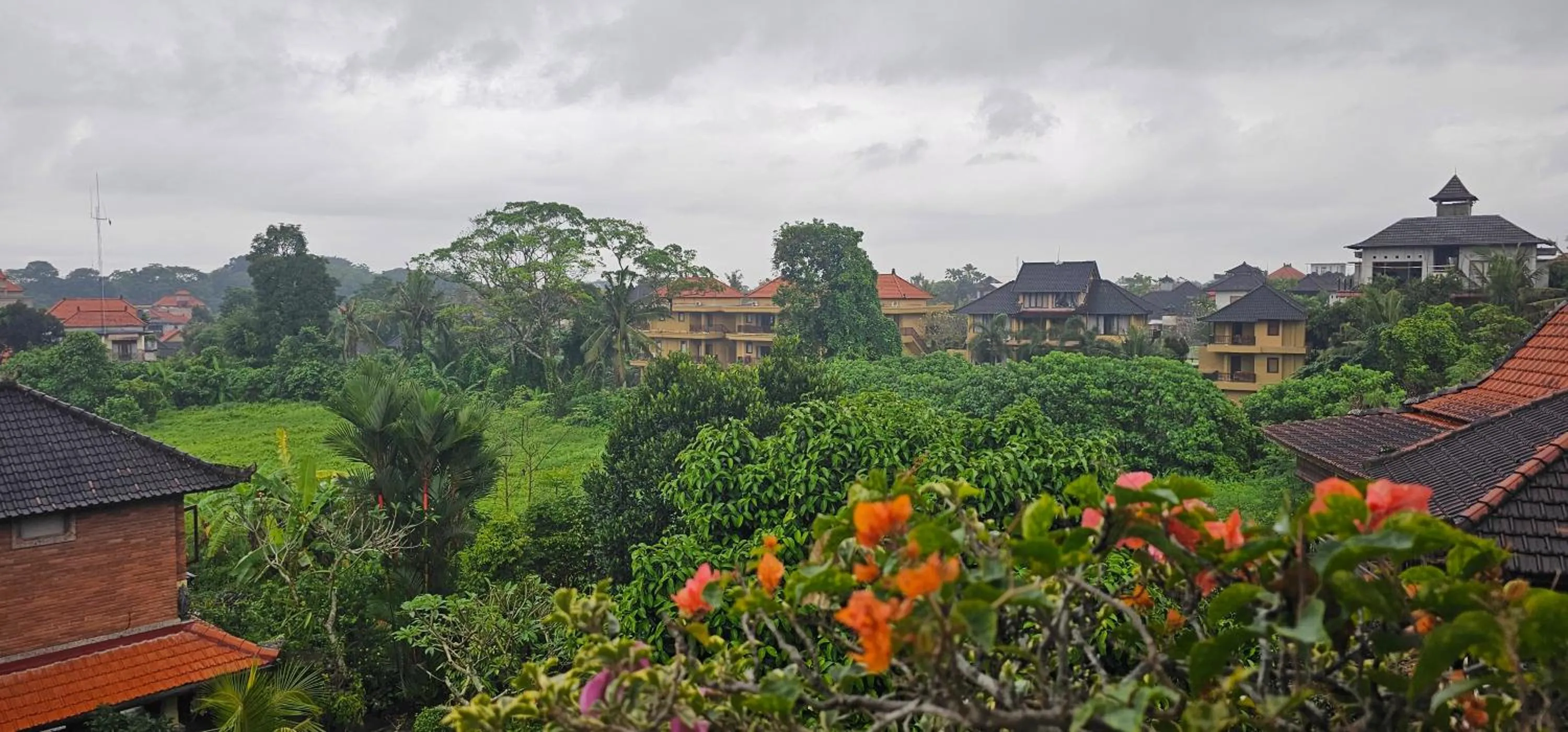 Natural landscape in Kun - Kun Guest House Ubud