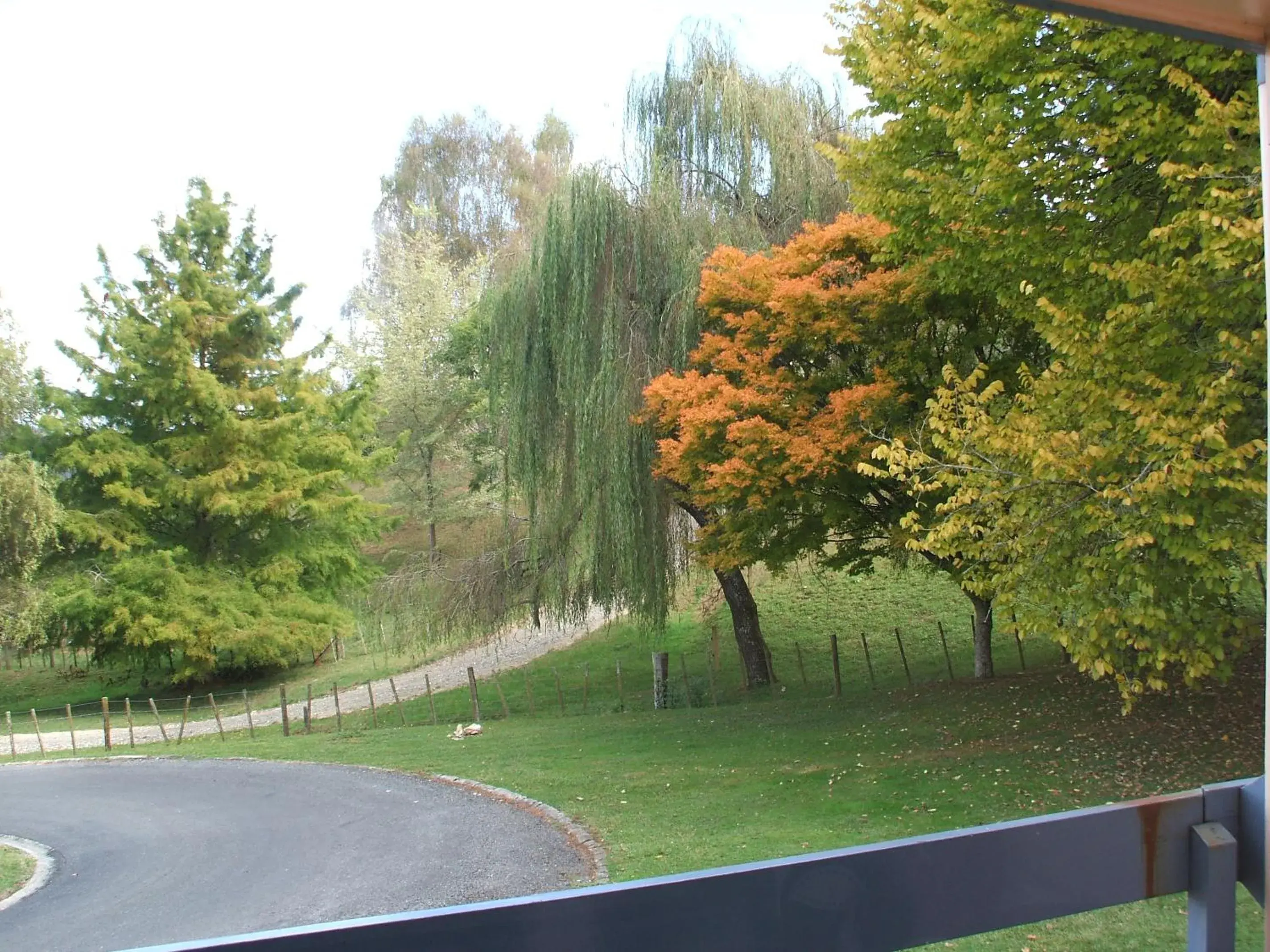 Caves Motor Inn Caves Motor Inn