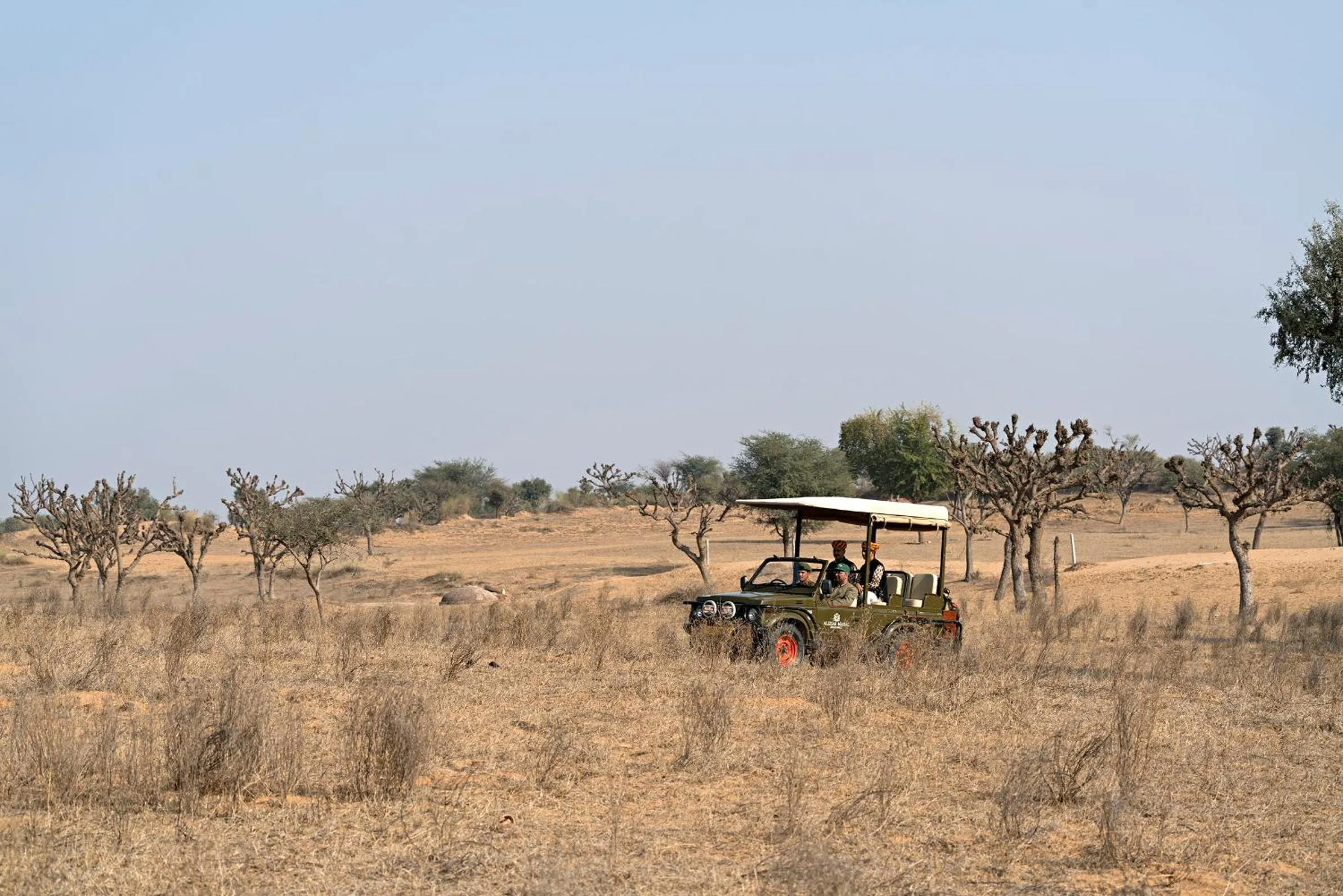 Activities in Alsisar Mahal- Heritage Hotel