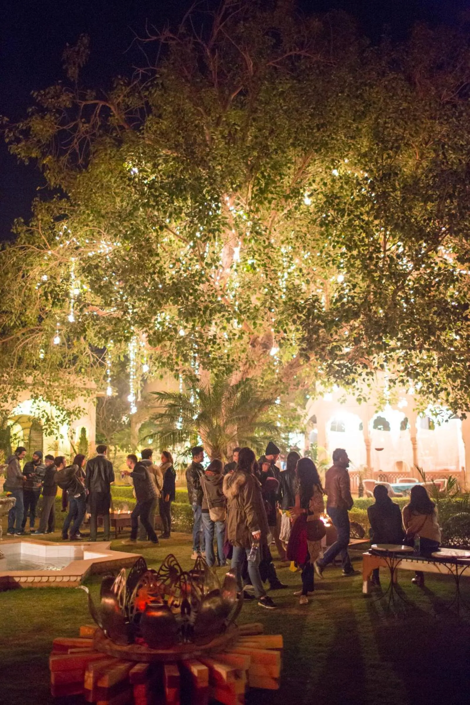 Activities in Alsisar Mahal- Heritage Hotel