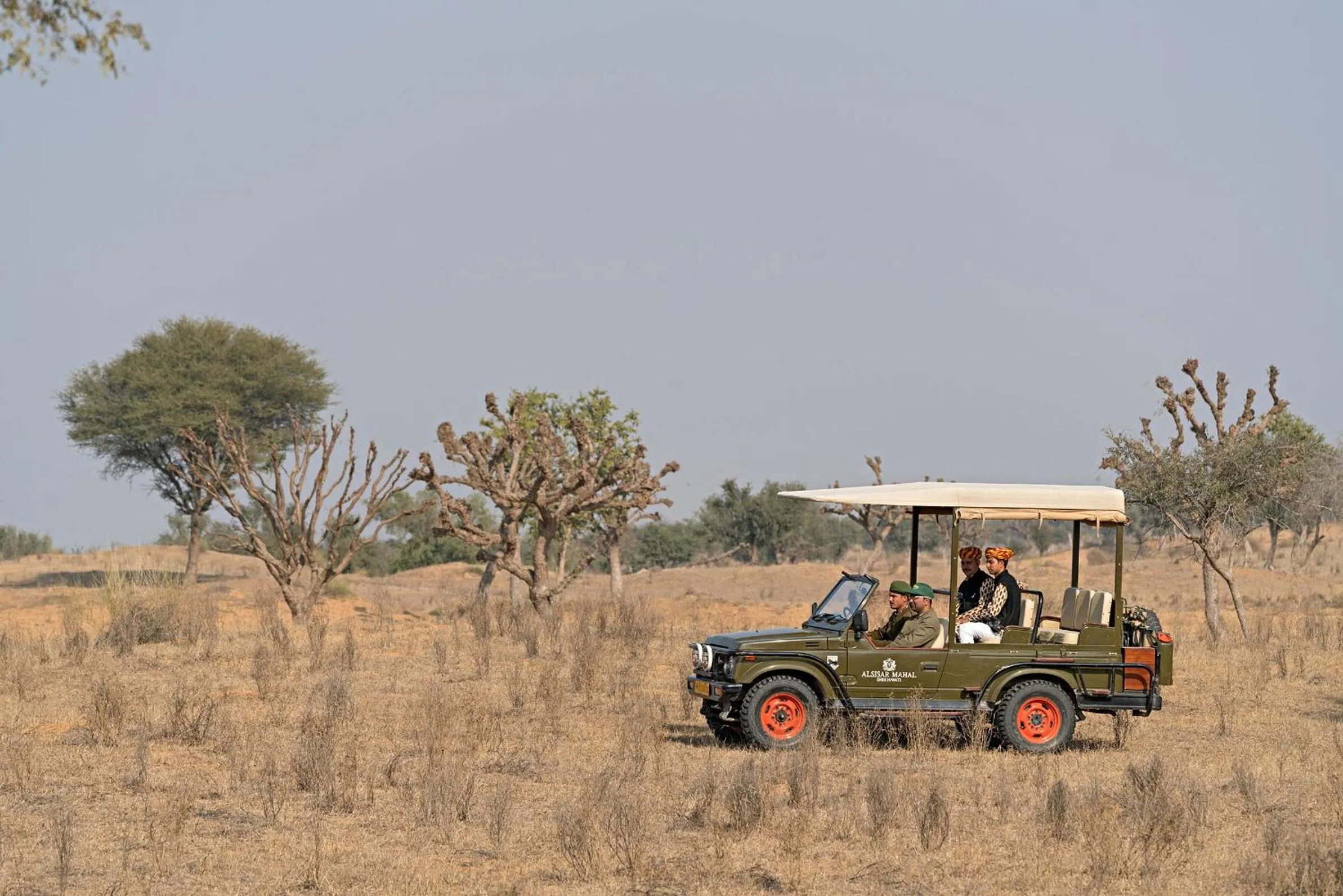 Activities in Alsisar Mahal- Heritage Hotel