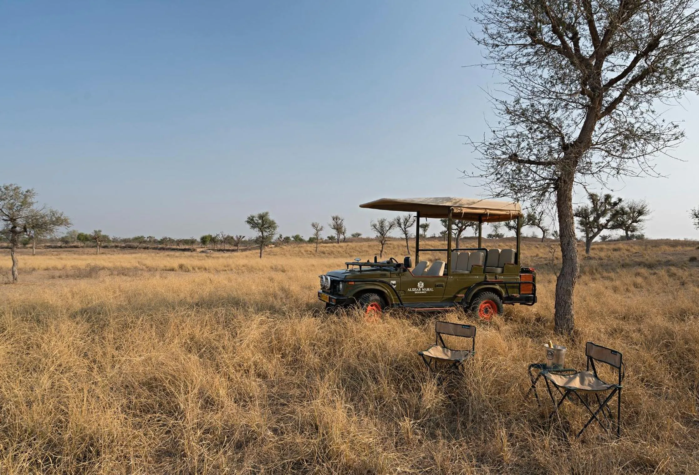 Activities in Alsisar Mahal- Heritage Hotel