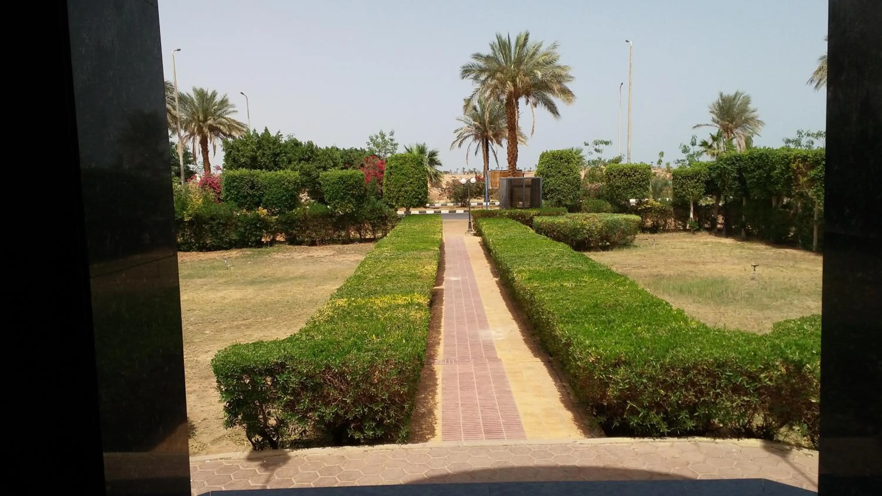 Garden in Applicators Hotel