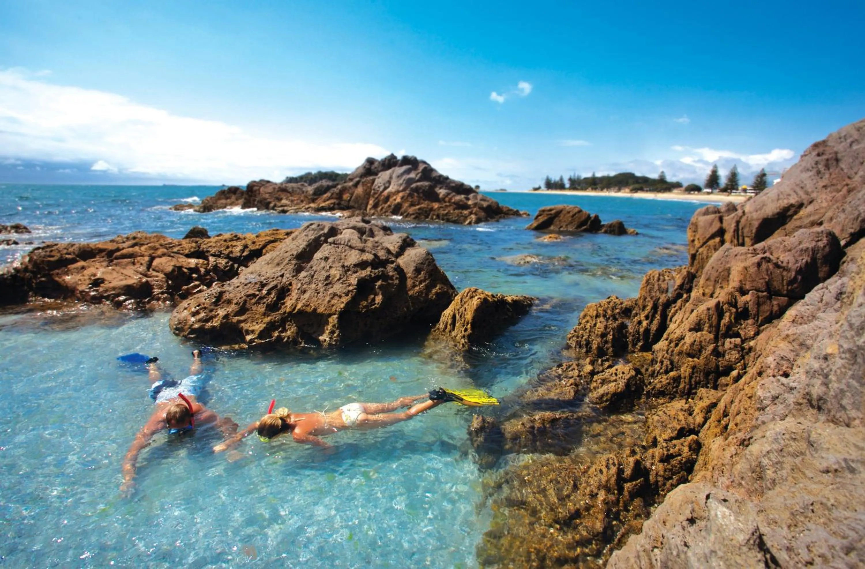 Snorkeling in Oceanside Resort & Twin Towers