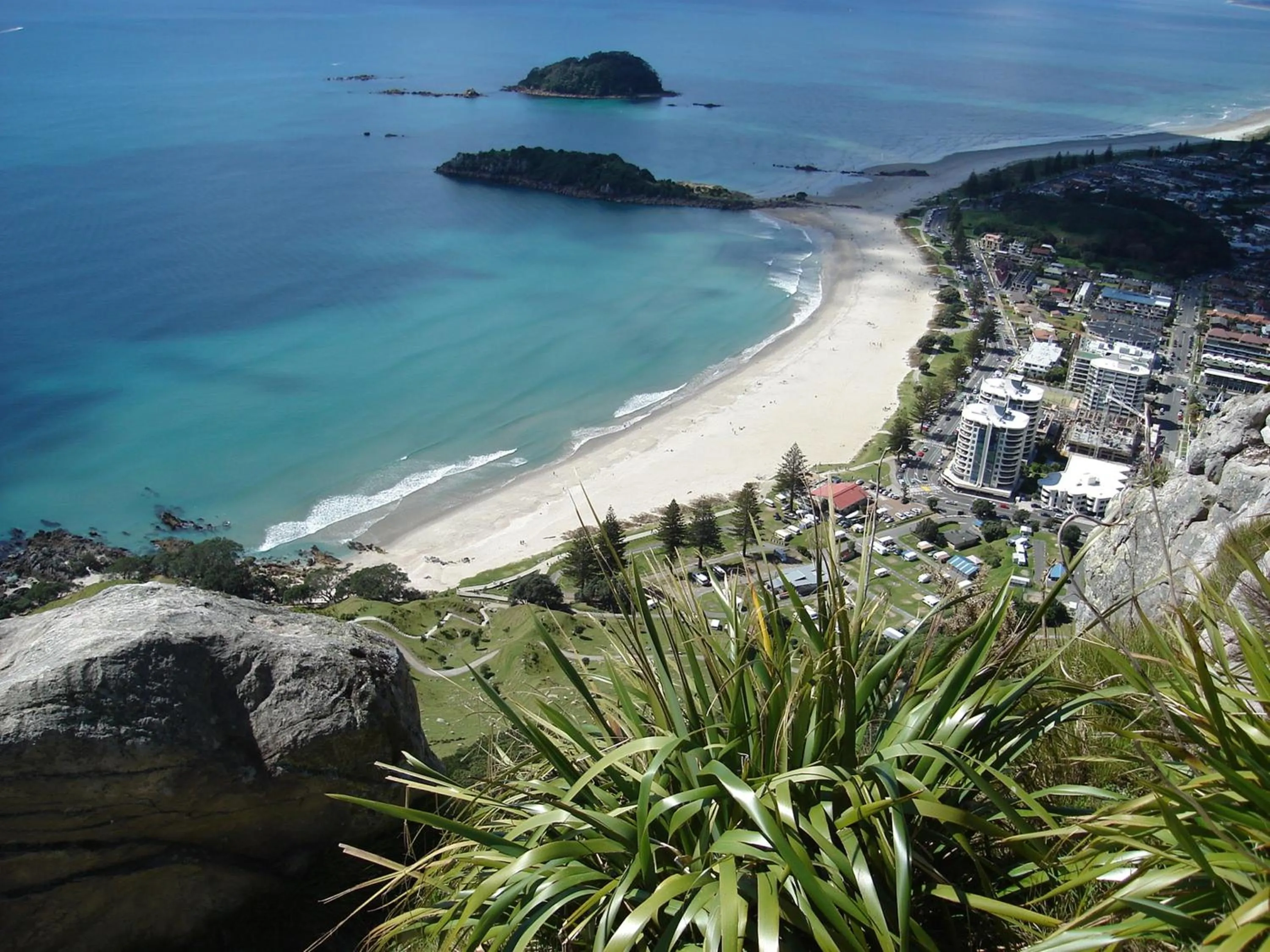 Area and facilities in Aquarius Motor Inn