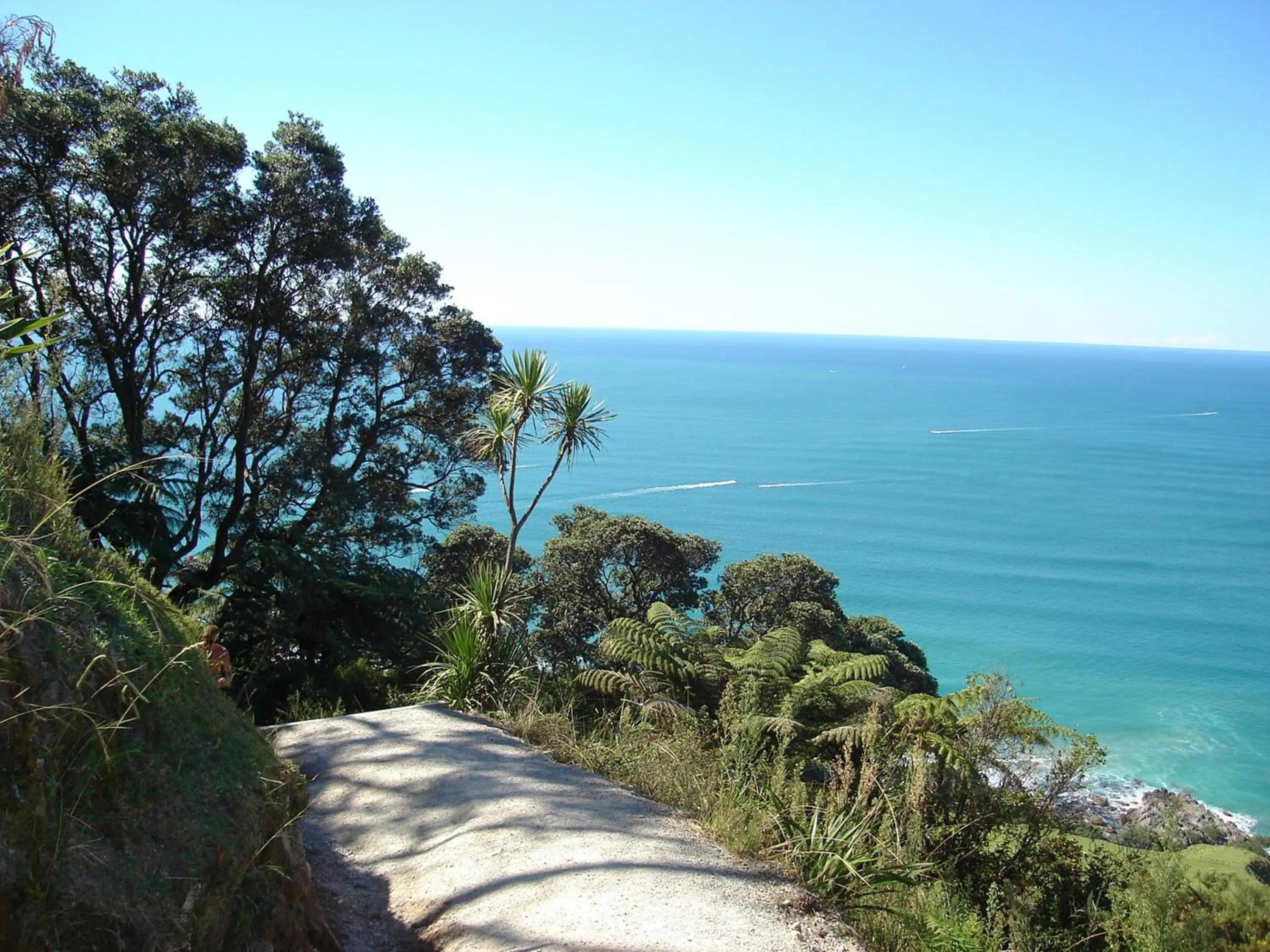 Area and facilities in Aquarius Motor Inn