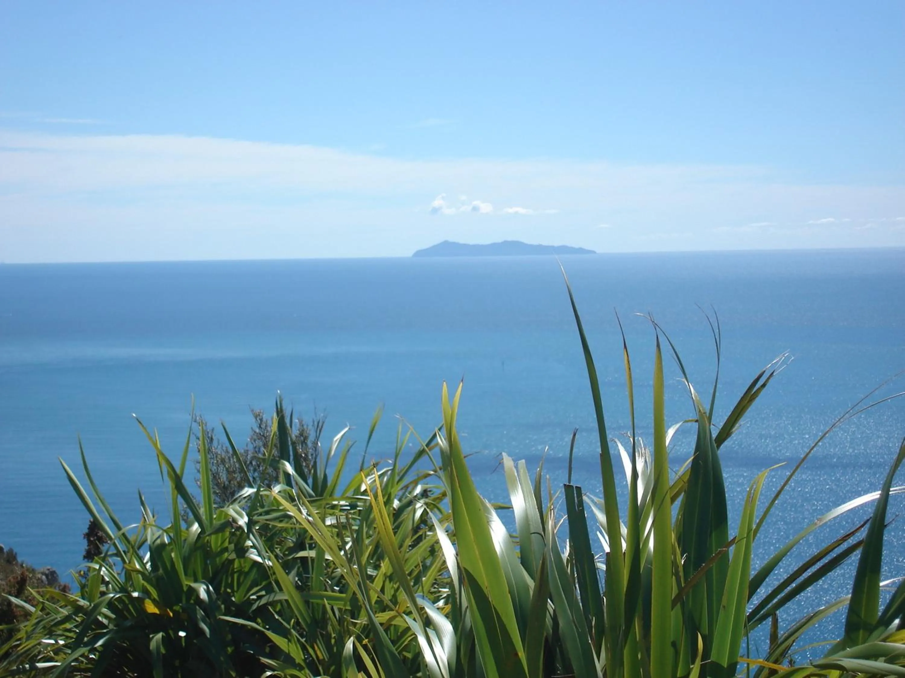 Area and facilities in Aquarius Motor Inn