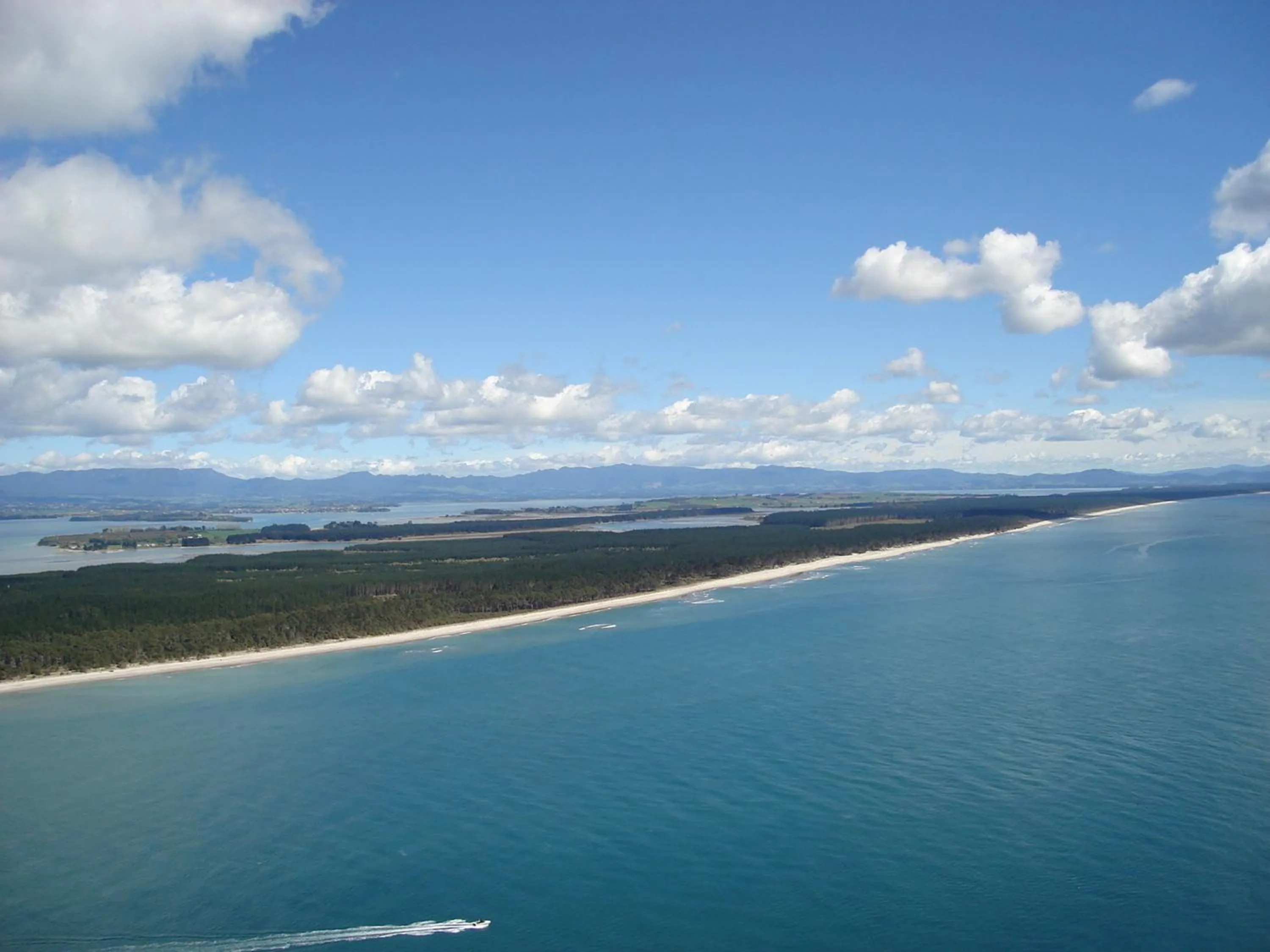 Area and facilities in Aquarius Motor Inn