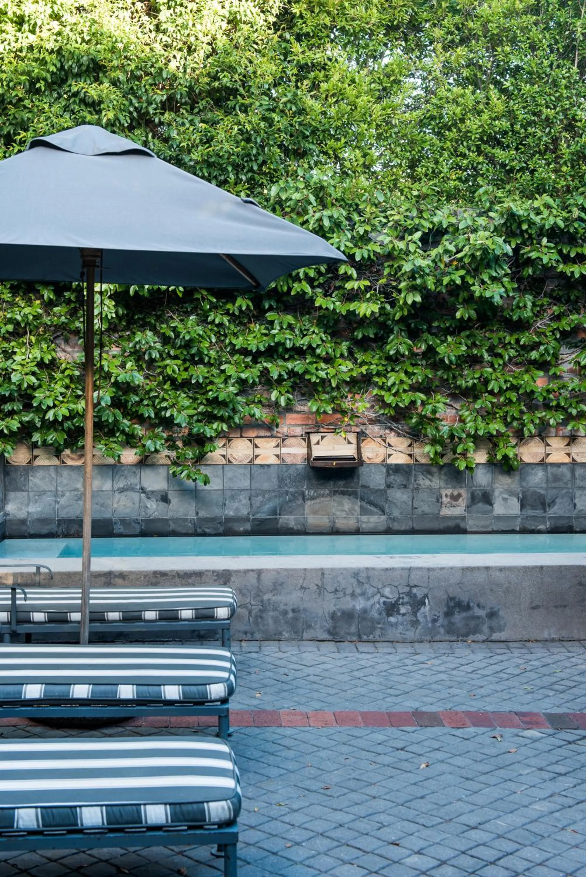 Swimming pool in Welgelegen House