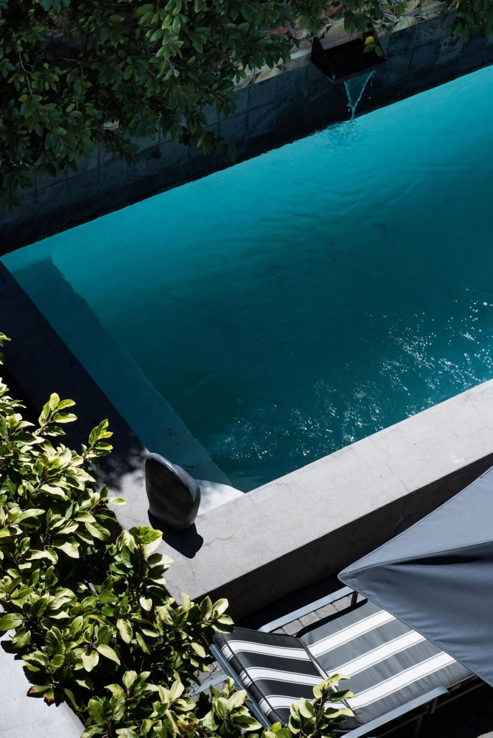 Pool view in Welgelegen House