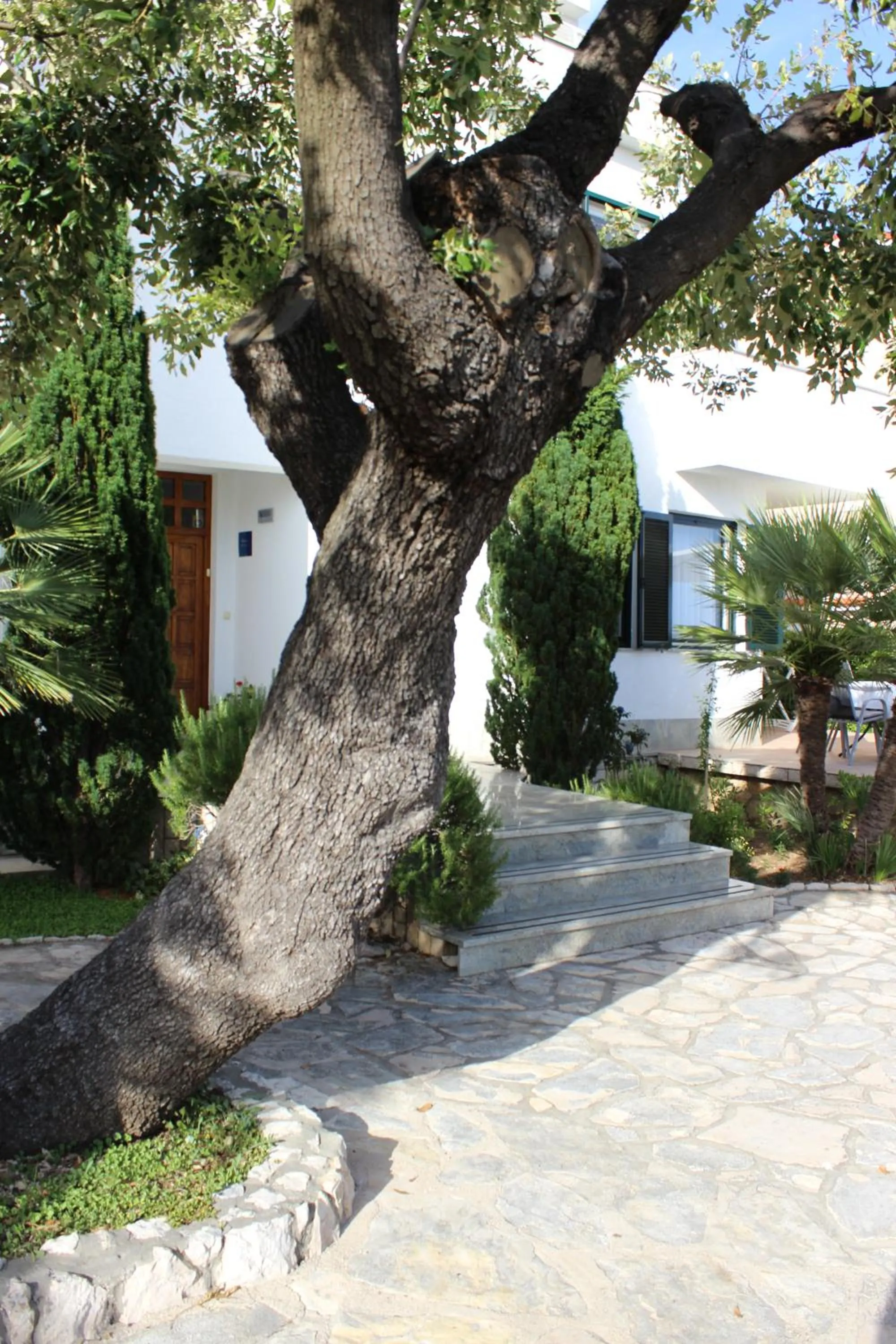 Property building in Apartments Čuljak Rab