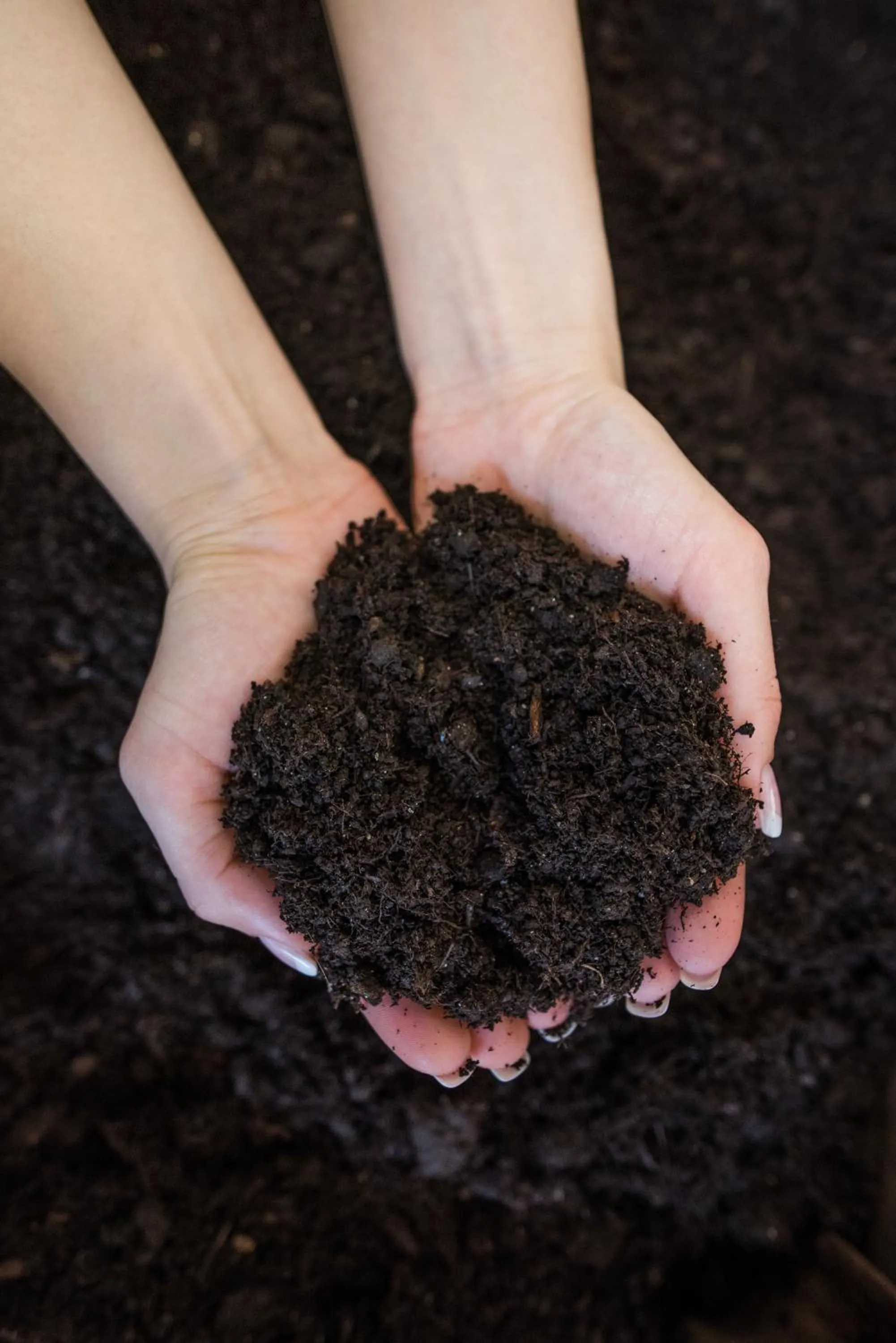 Other in WINDSOR SPA Hotel