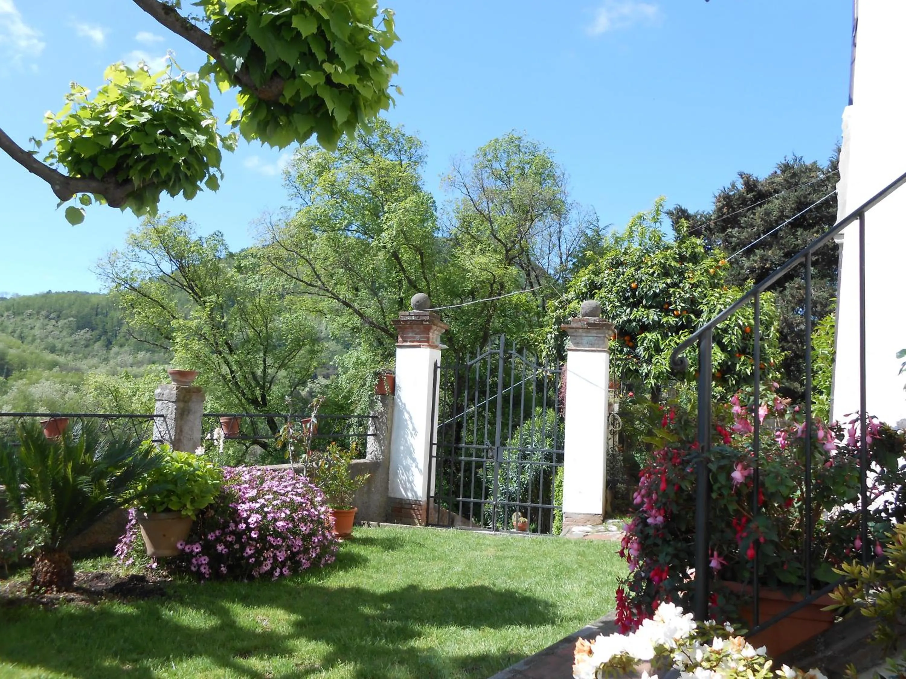 Garden in La Pieve Di Sant'Andrea