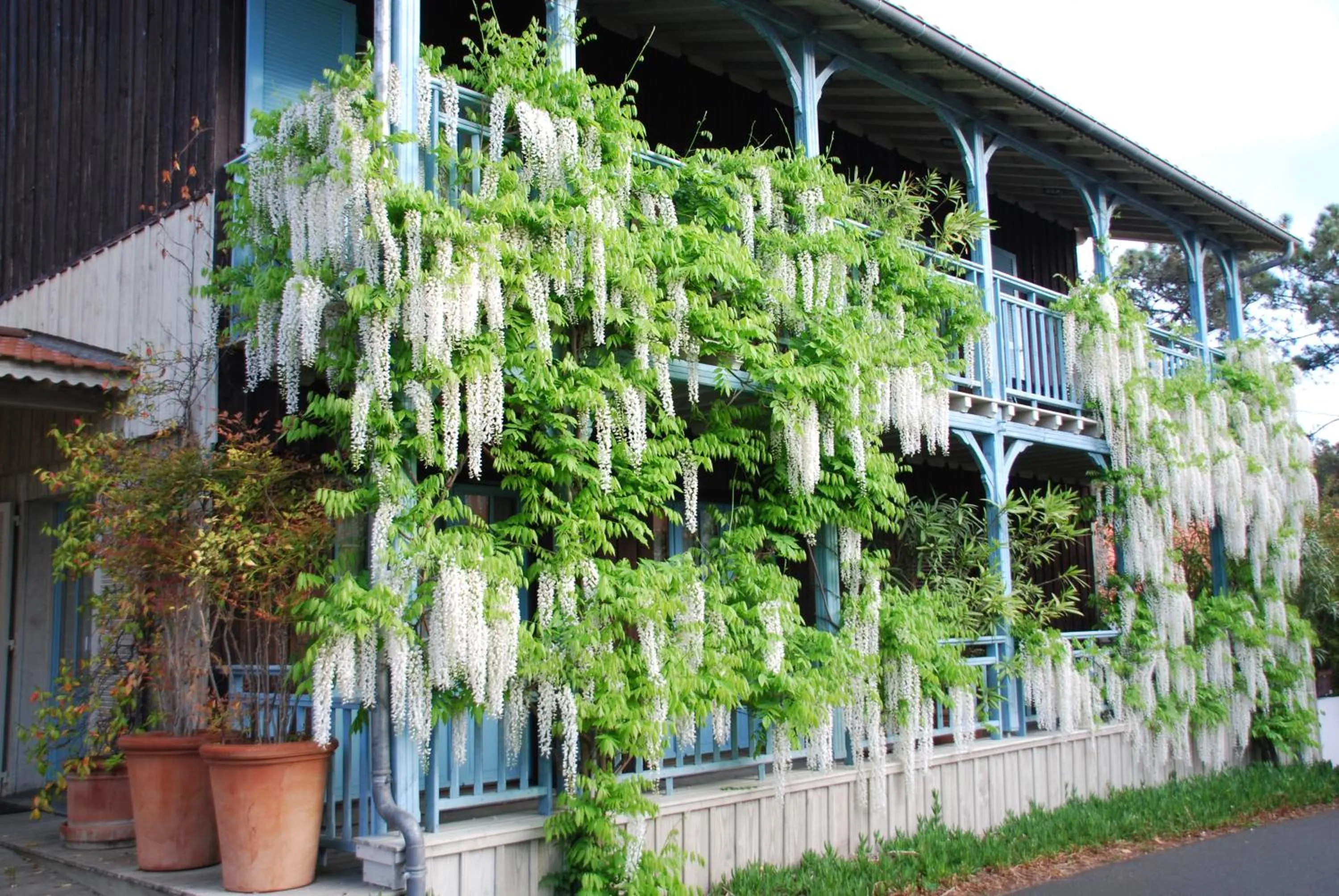 Patio in La Maison du Bassin