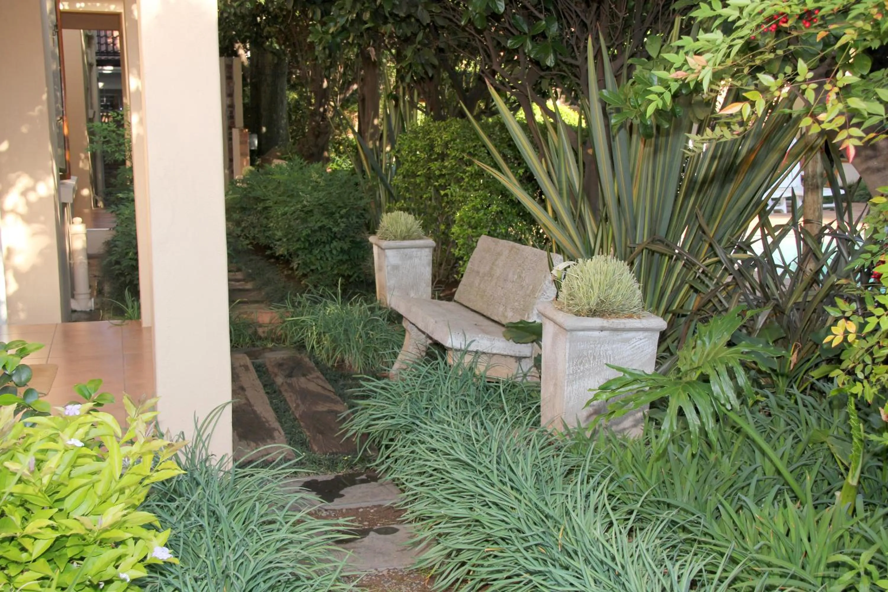 Garden in Del Roza Guest House