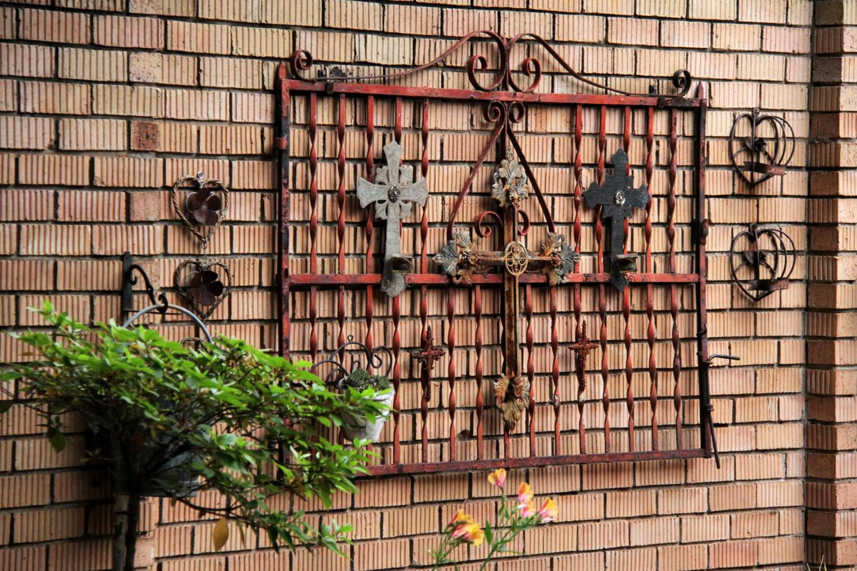 Garden in Del Roza Guest House