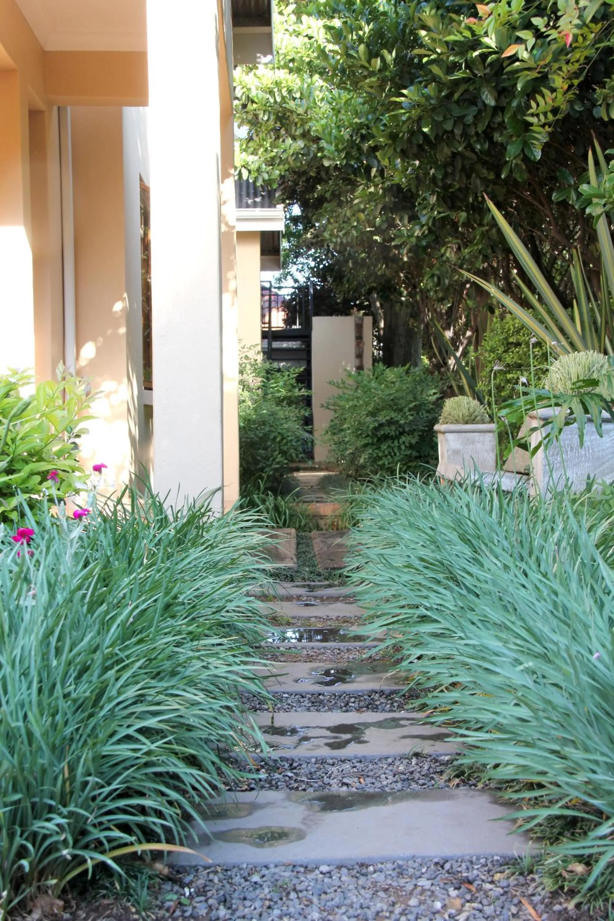 Garden view in Del Roza Guest House
