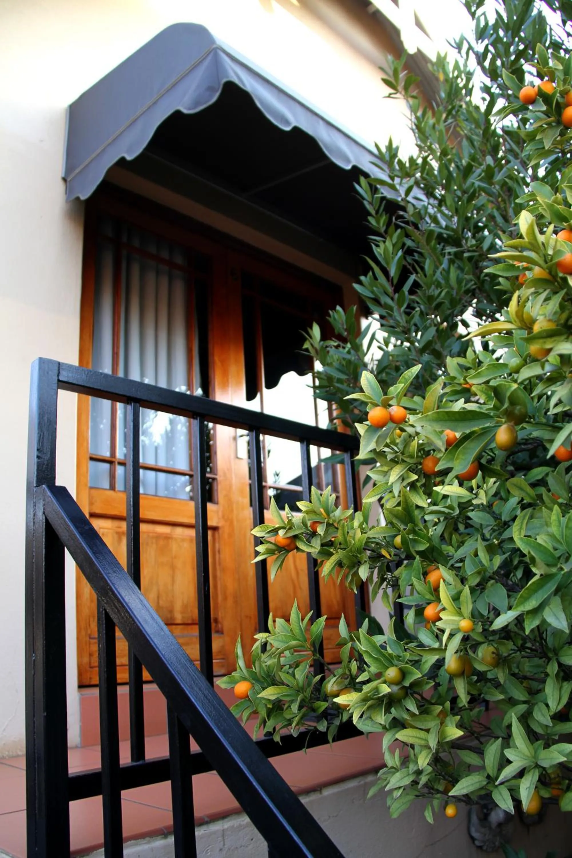 Balcony/Terrace in Del Roza Guest House