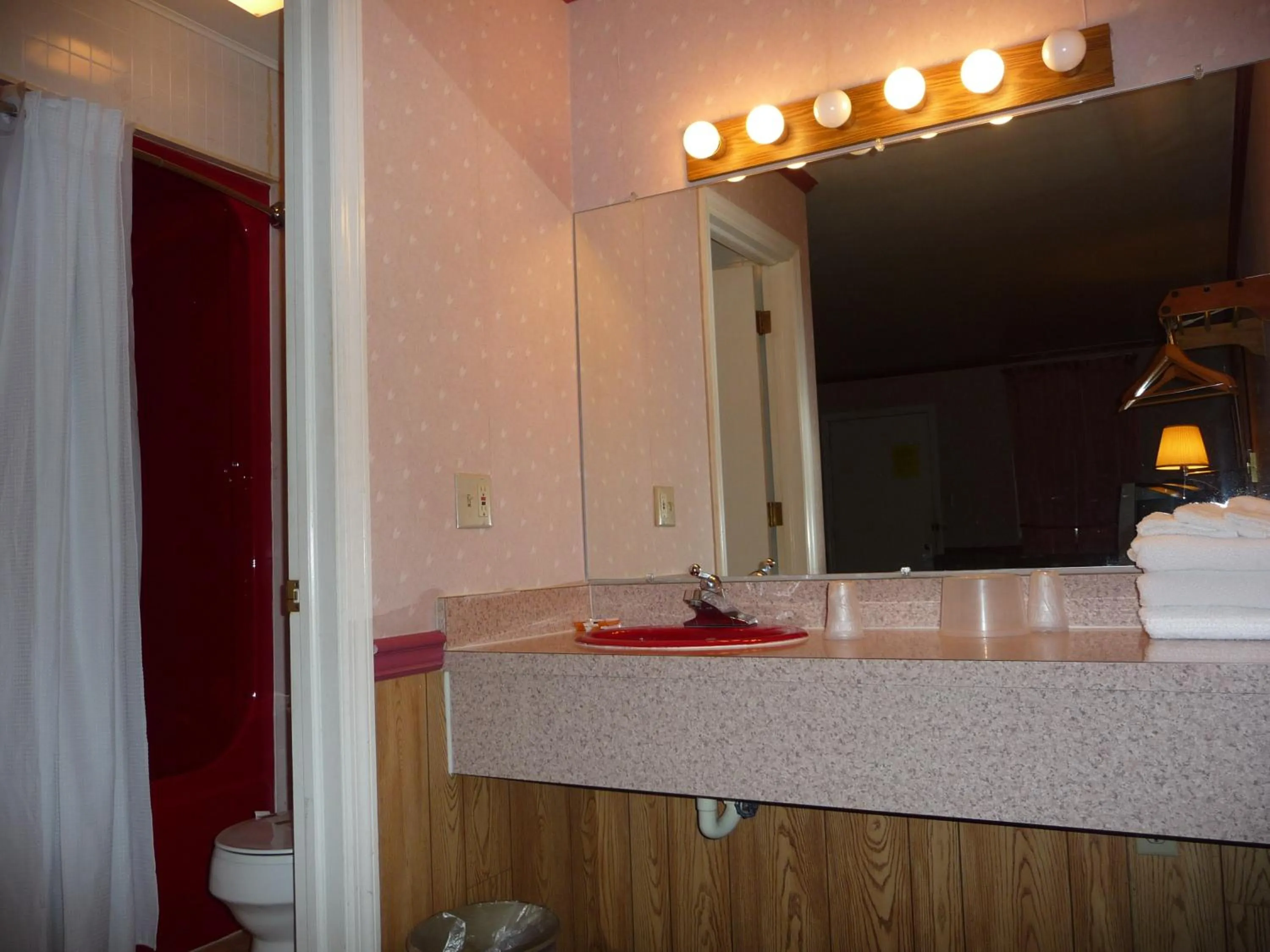 Bathroom in Red Rose Motel